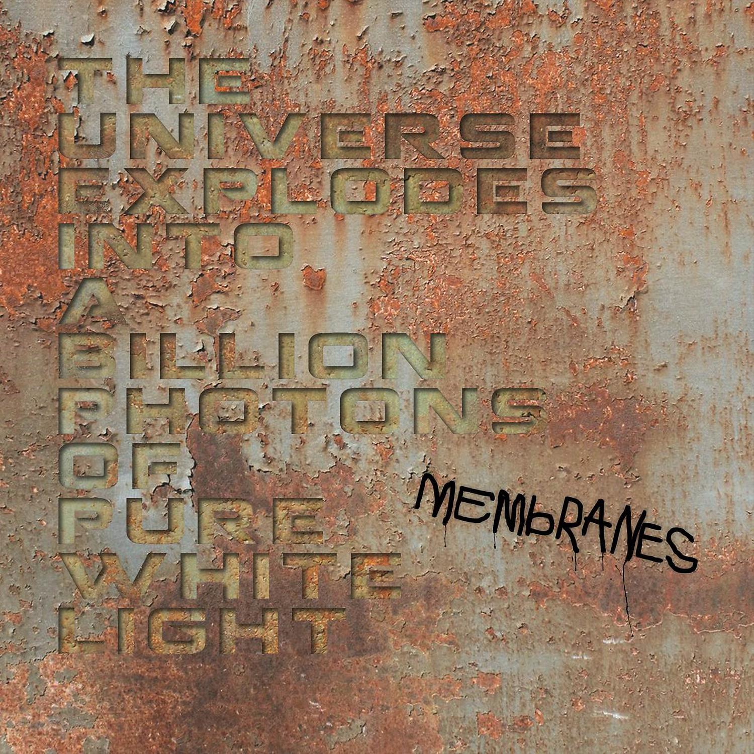 Постер альбома The Universe Explodes into a Billion Photons of Pure White Light (Estonian Version)