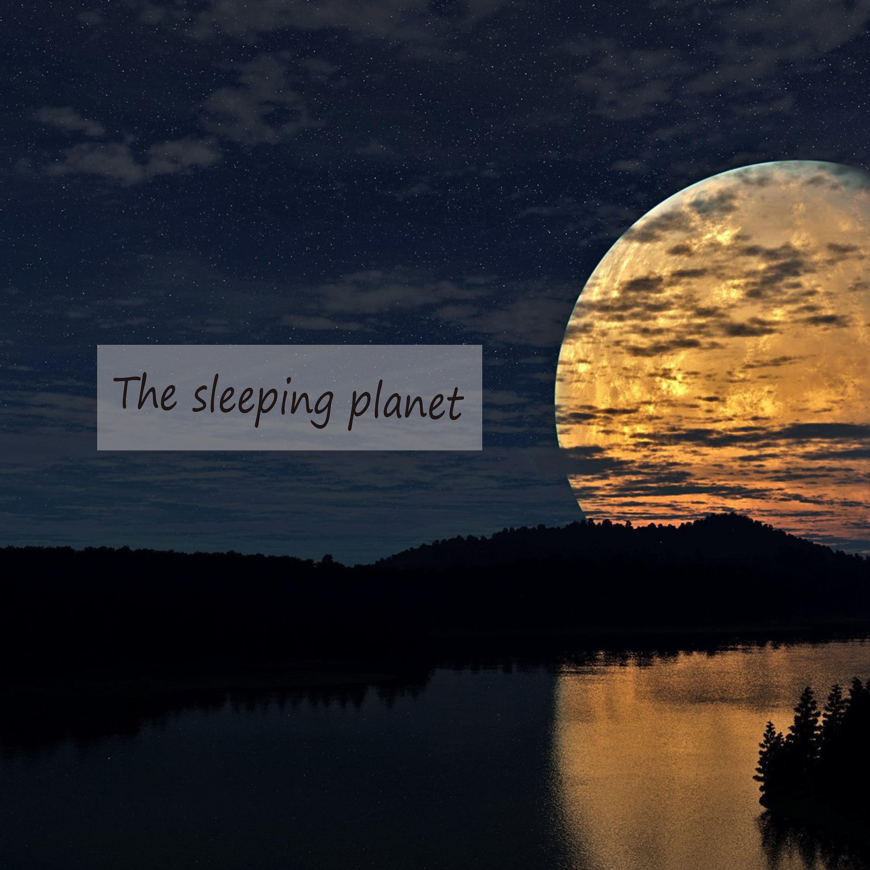 Постер альбома The Sleeping Planet