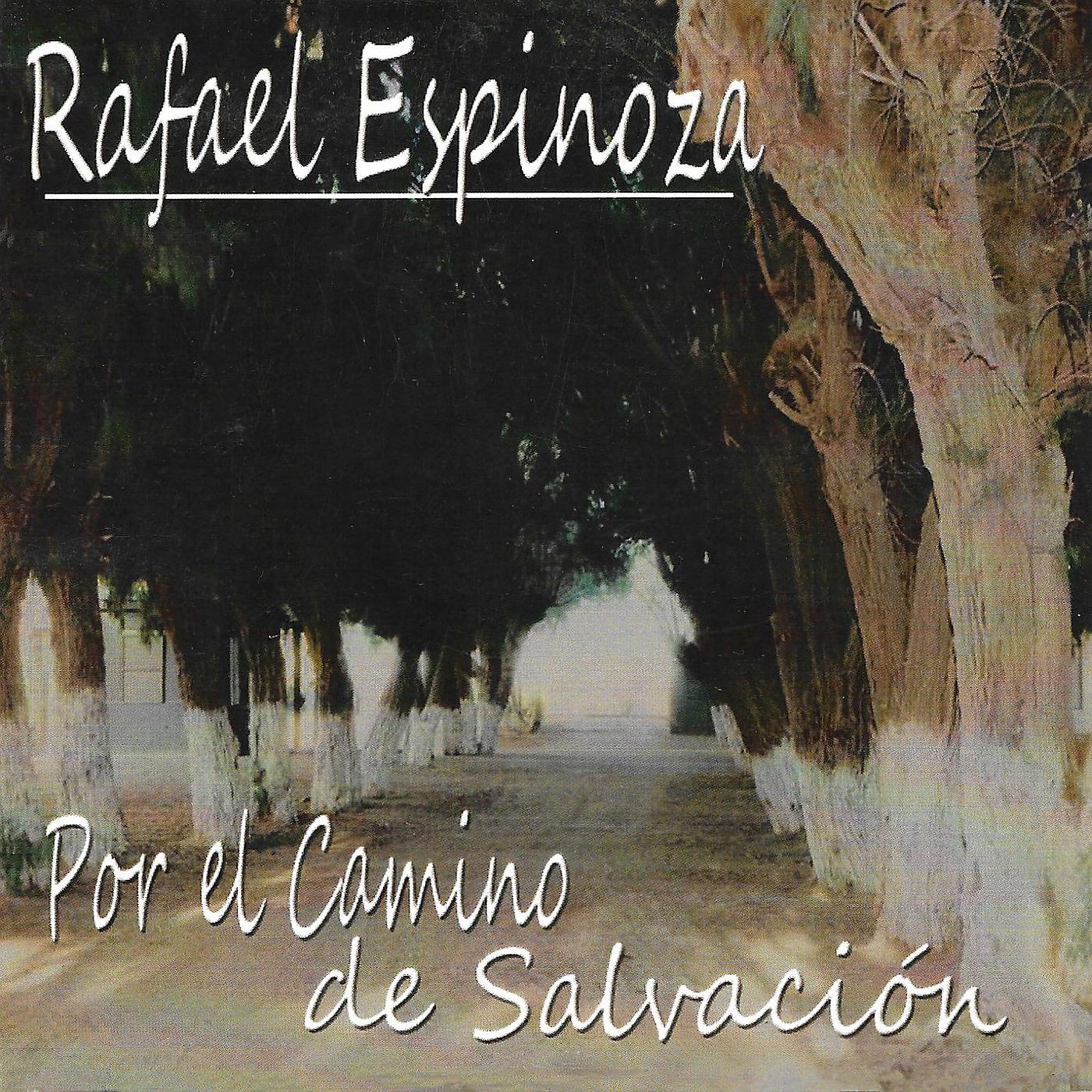 Постер альбома Por el Camino de Salvación
