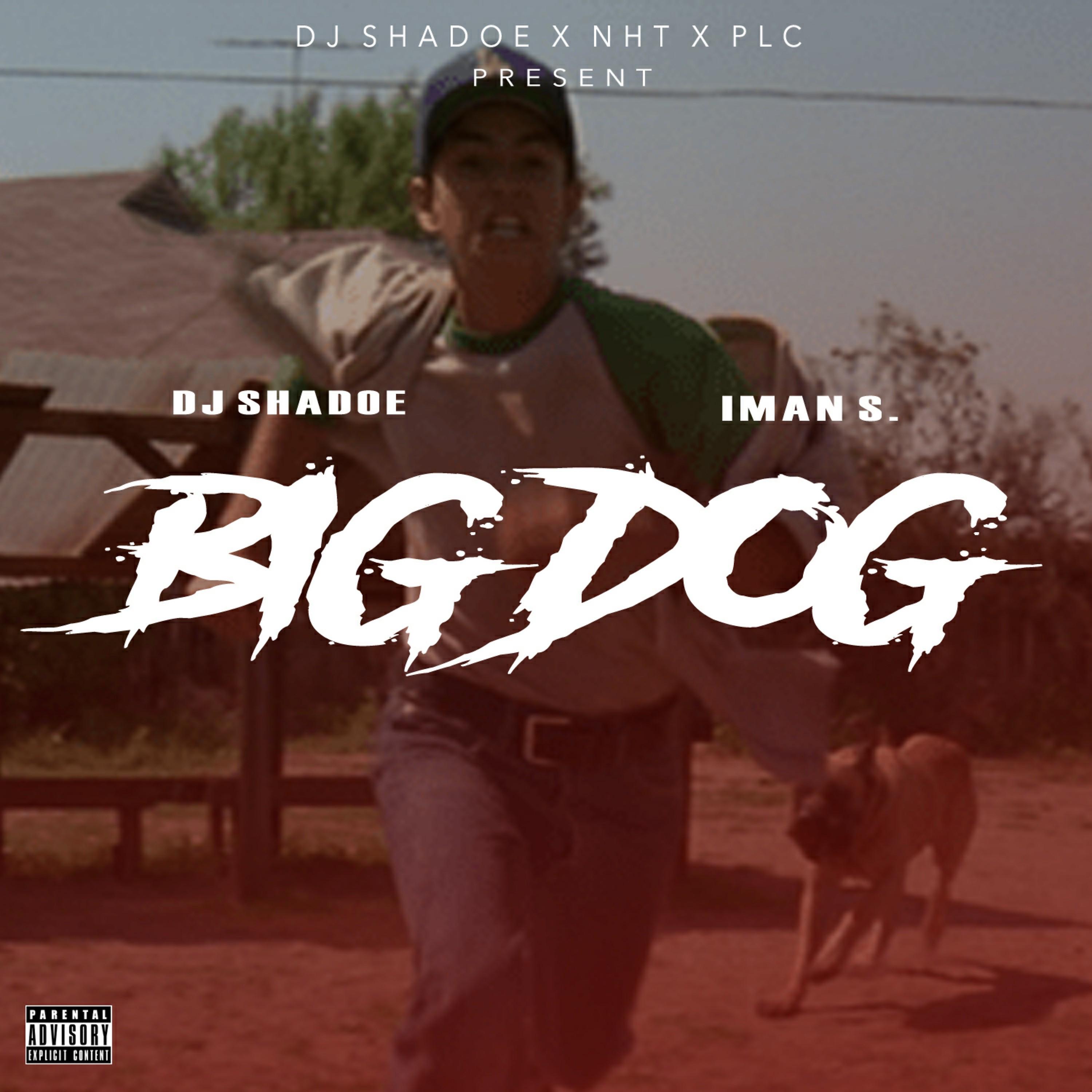 Постер альбома Big Dog (feat. Iman S.)