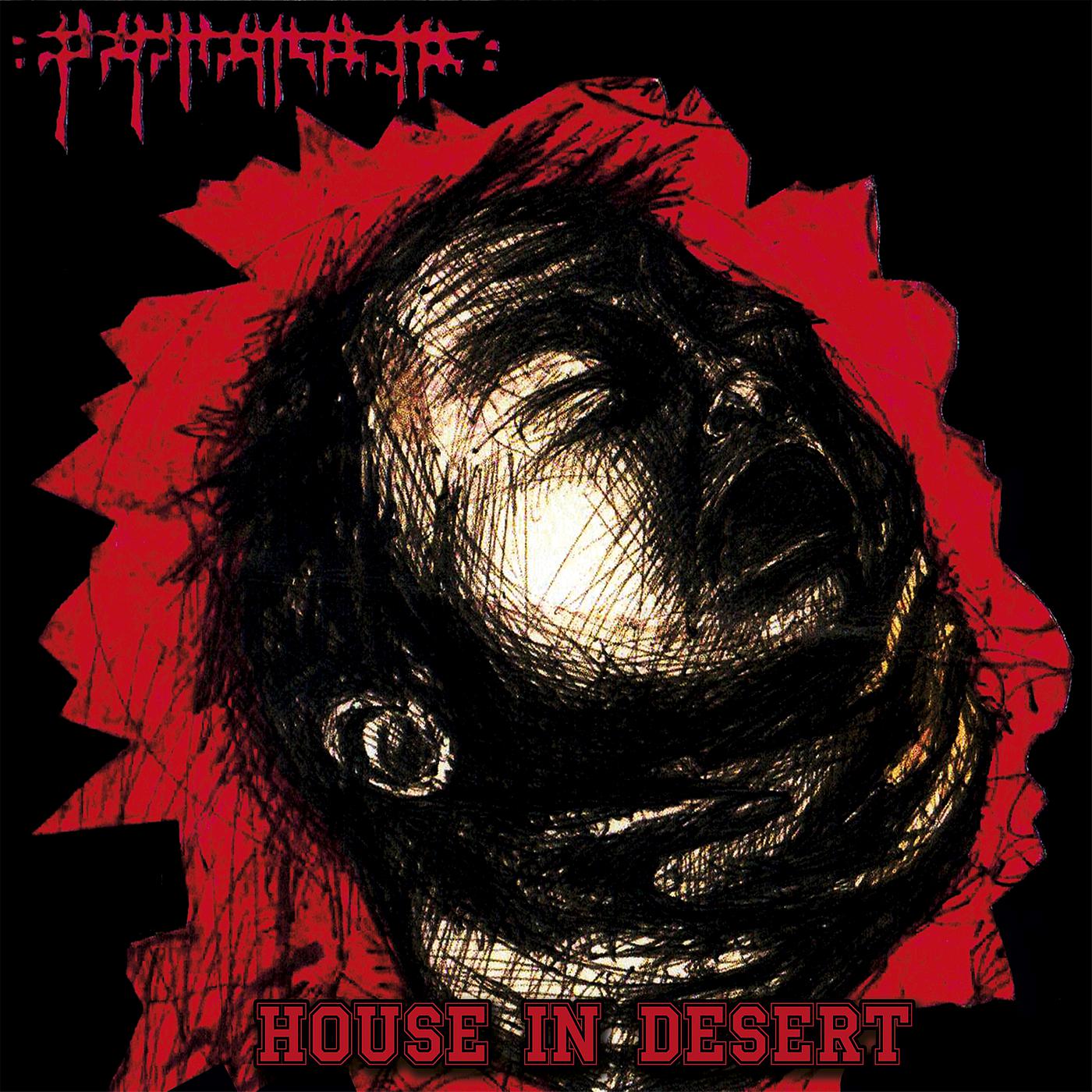 Постер альбома House in Desert