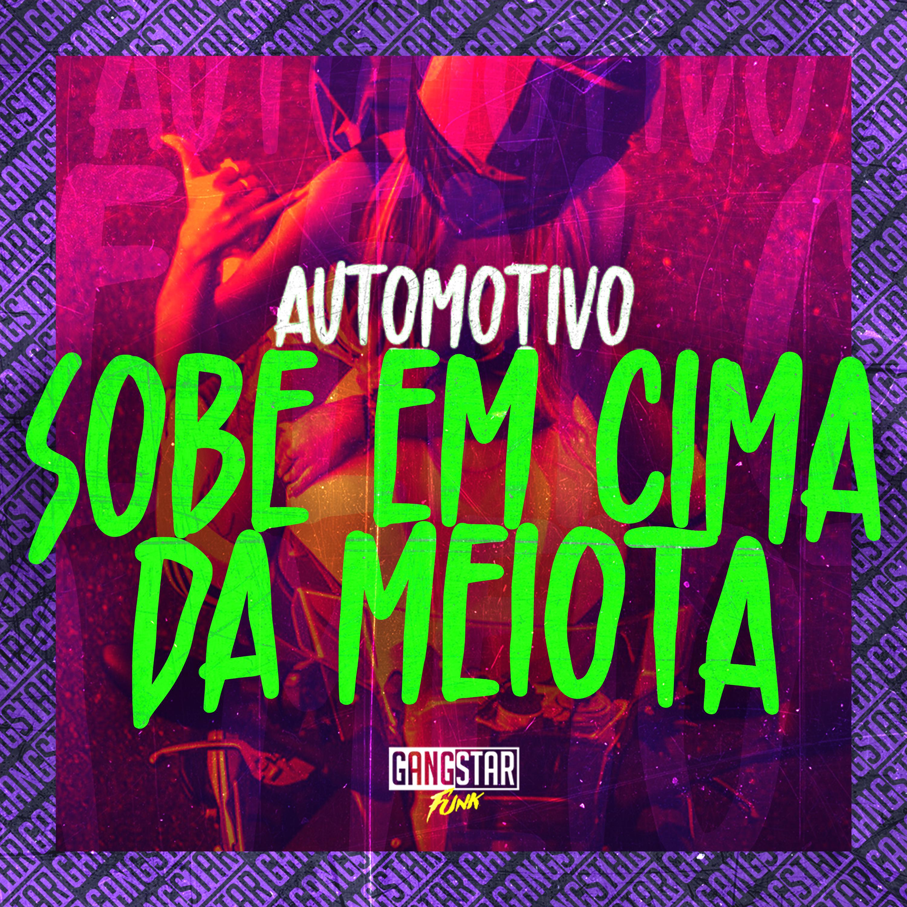 Постер альбома Automotivo Sobe em Cima da Meiota