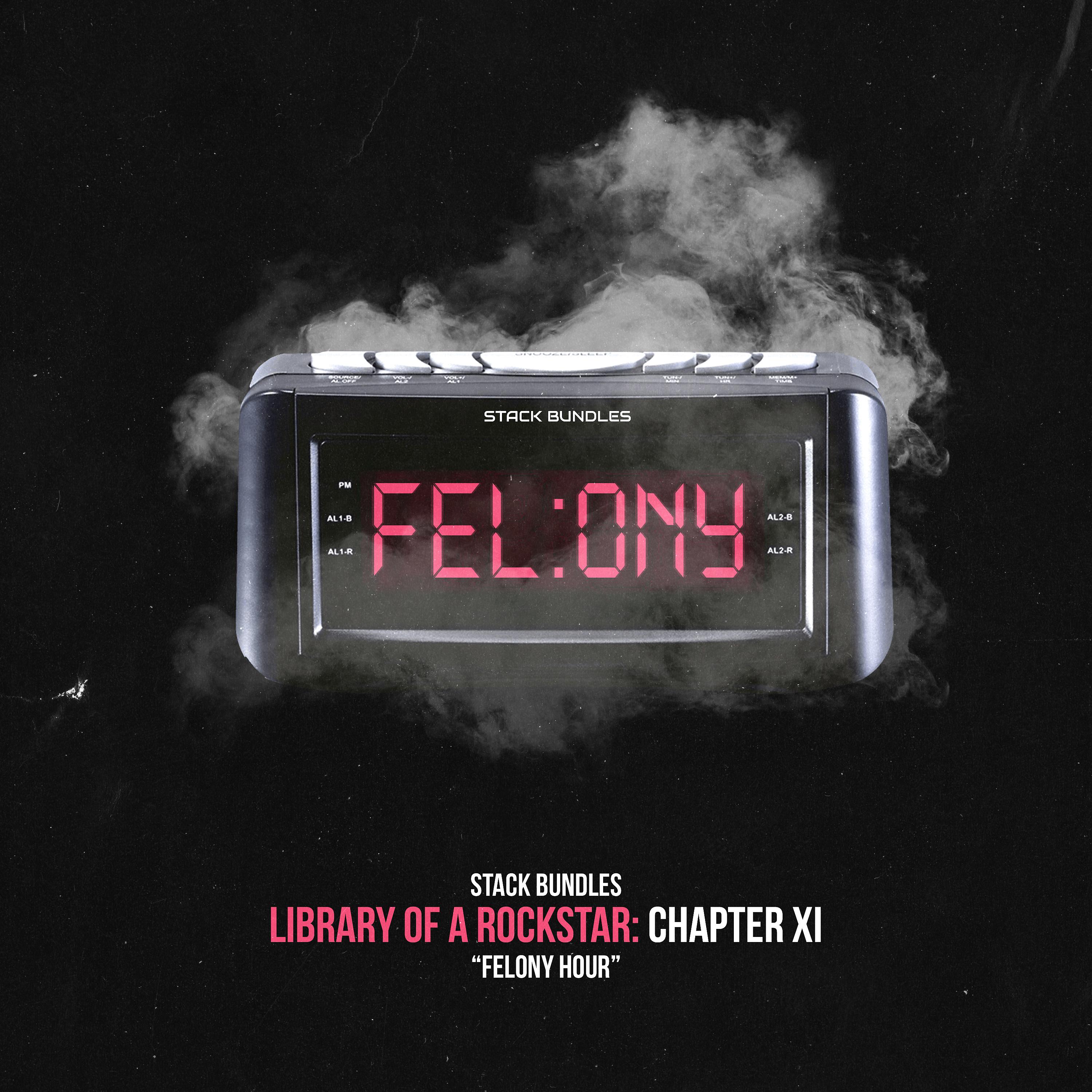 Постер альбома Library of a Rockstar: Chapter 11 - Felony Hour