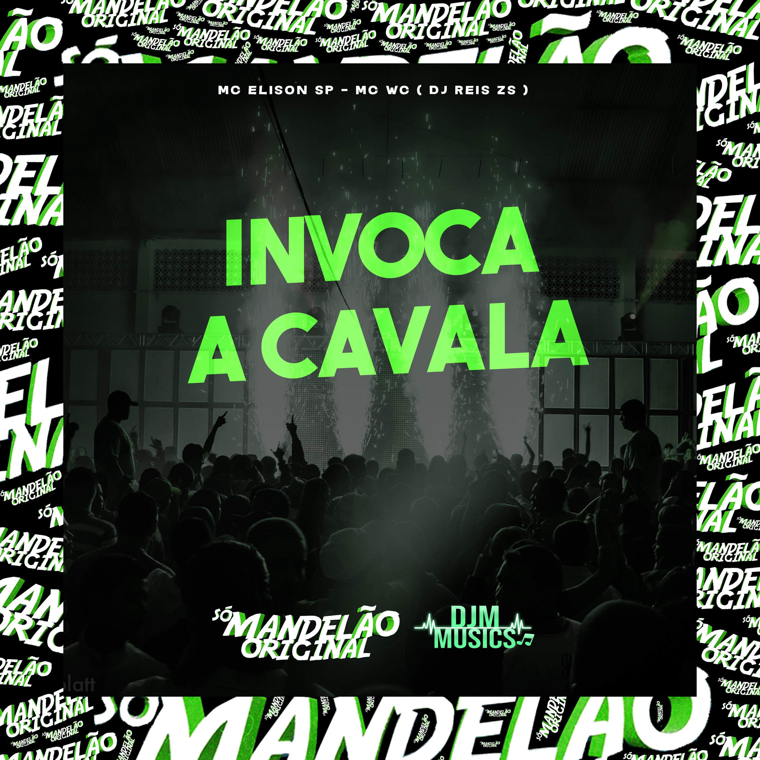 Постер альбома Invoca a Cavala