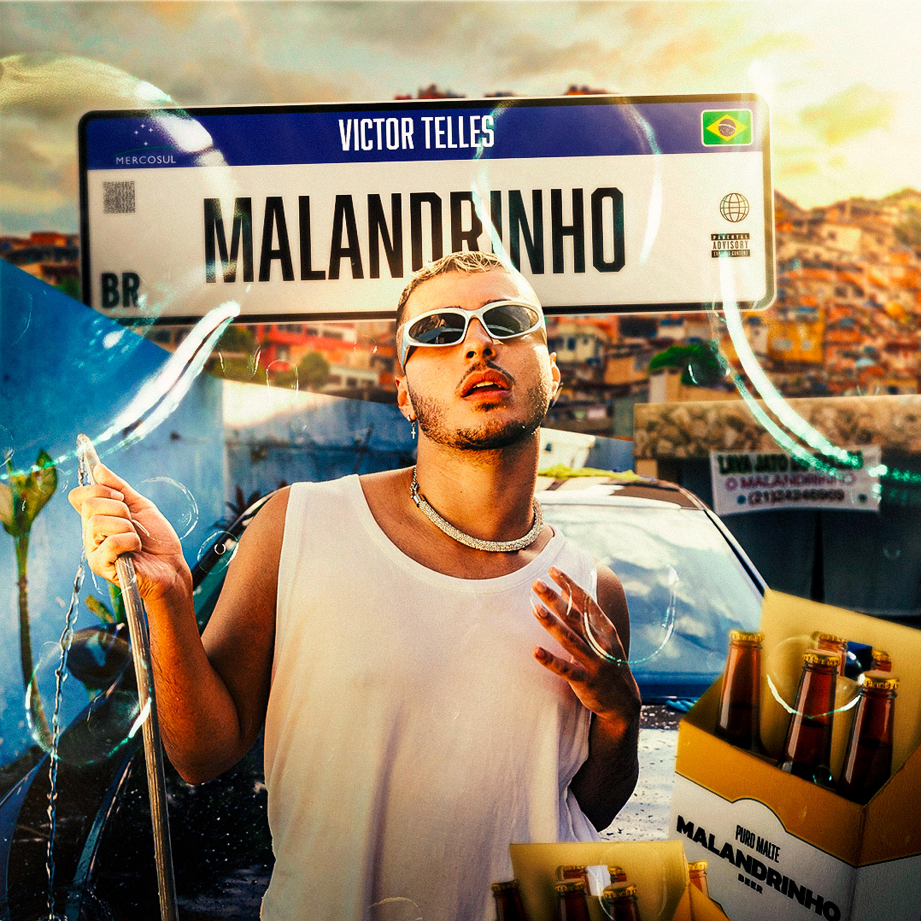 Постер альбома Malandrinho
