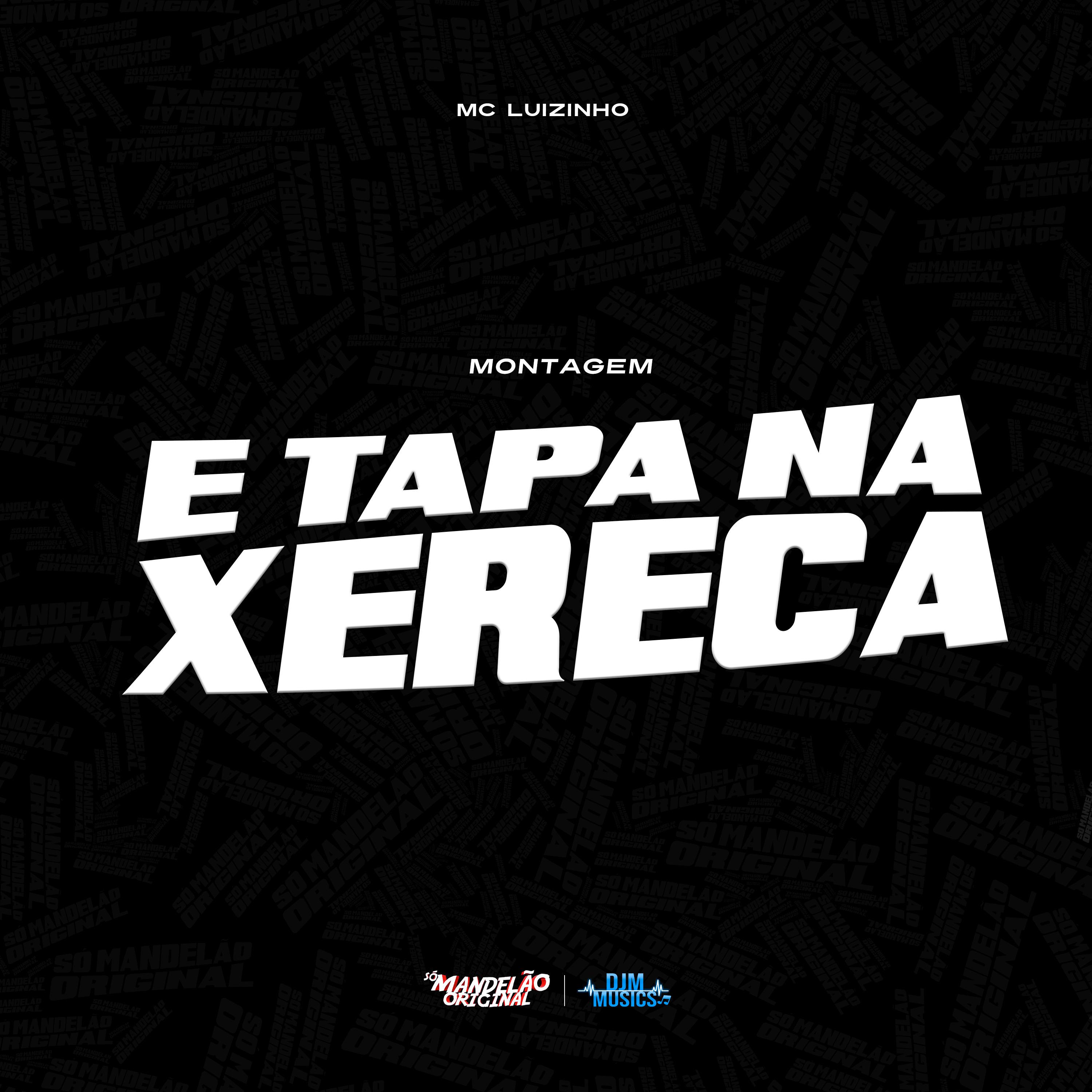 Постер альбома Montagem - É Tapa na Xereca