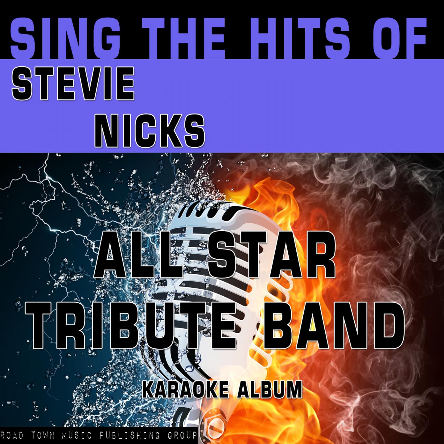 Постер альбома Sing the Hits of Stevie Nicks