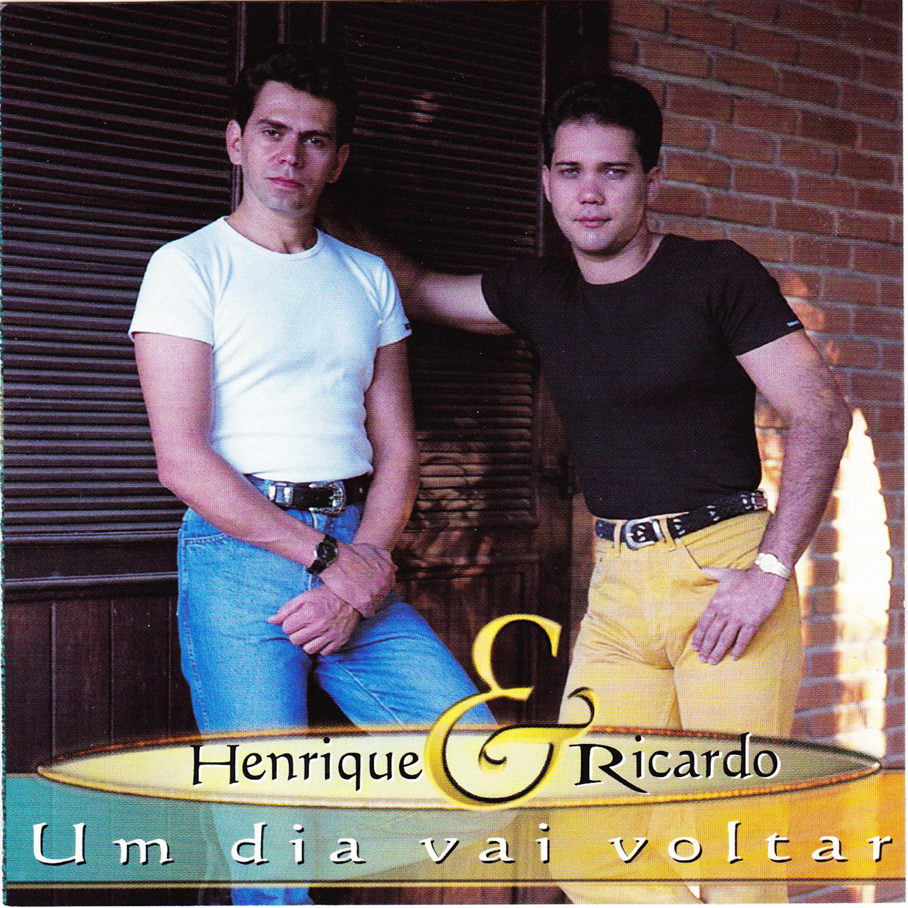 Постер альбома Um Dia Vai Voltar