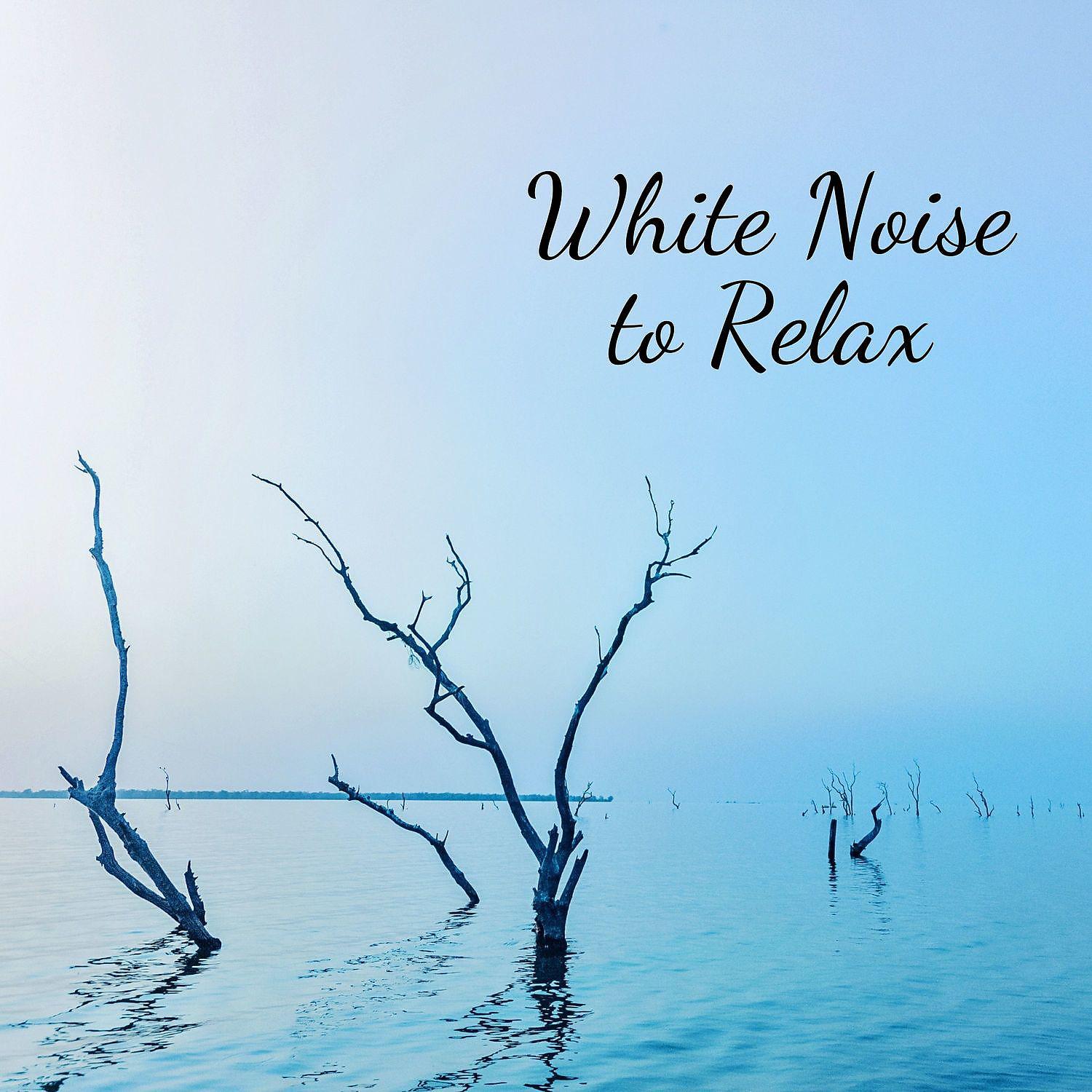 Постер альбома White Noise to Relax
