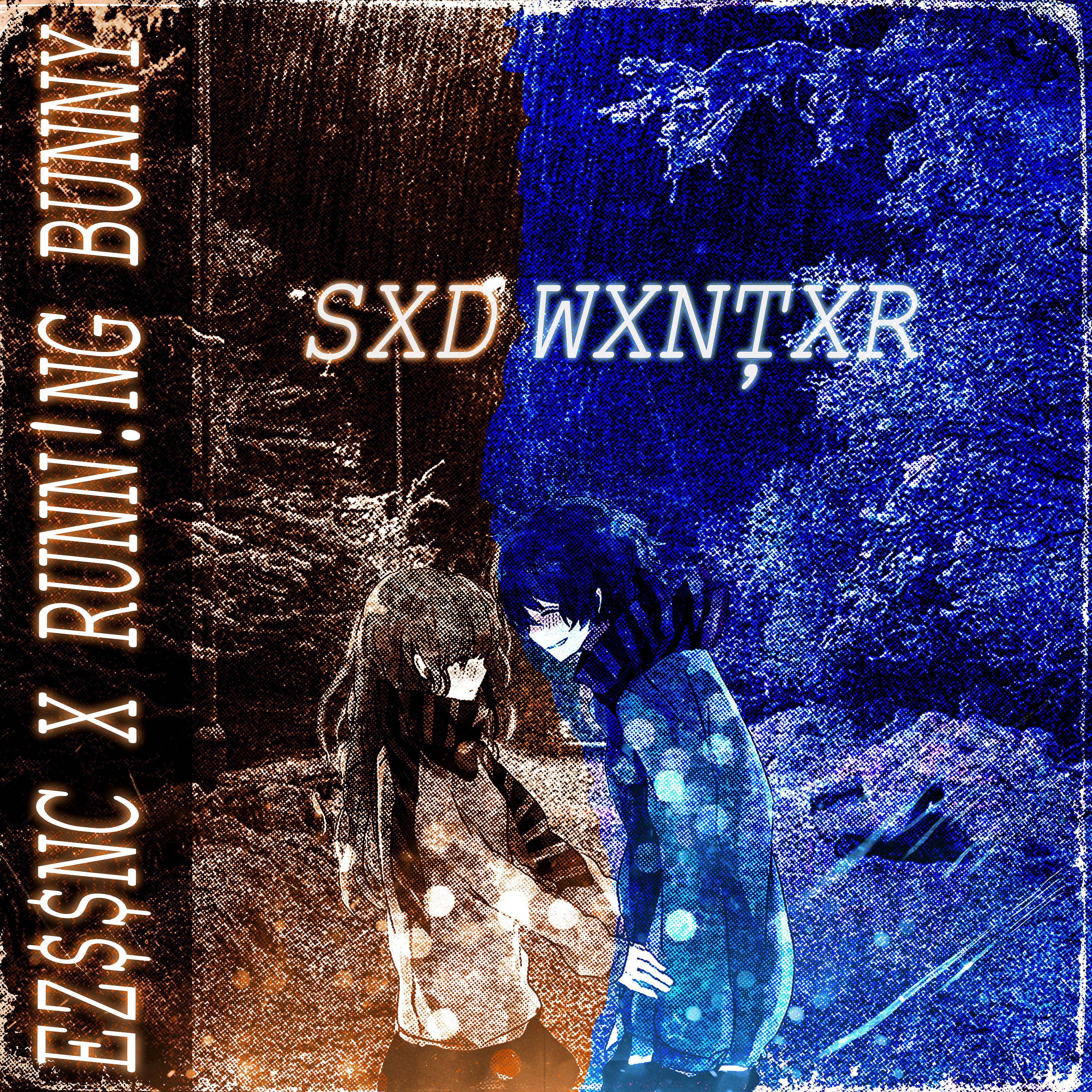 Постер альбома Sxd Wxntxr