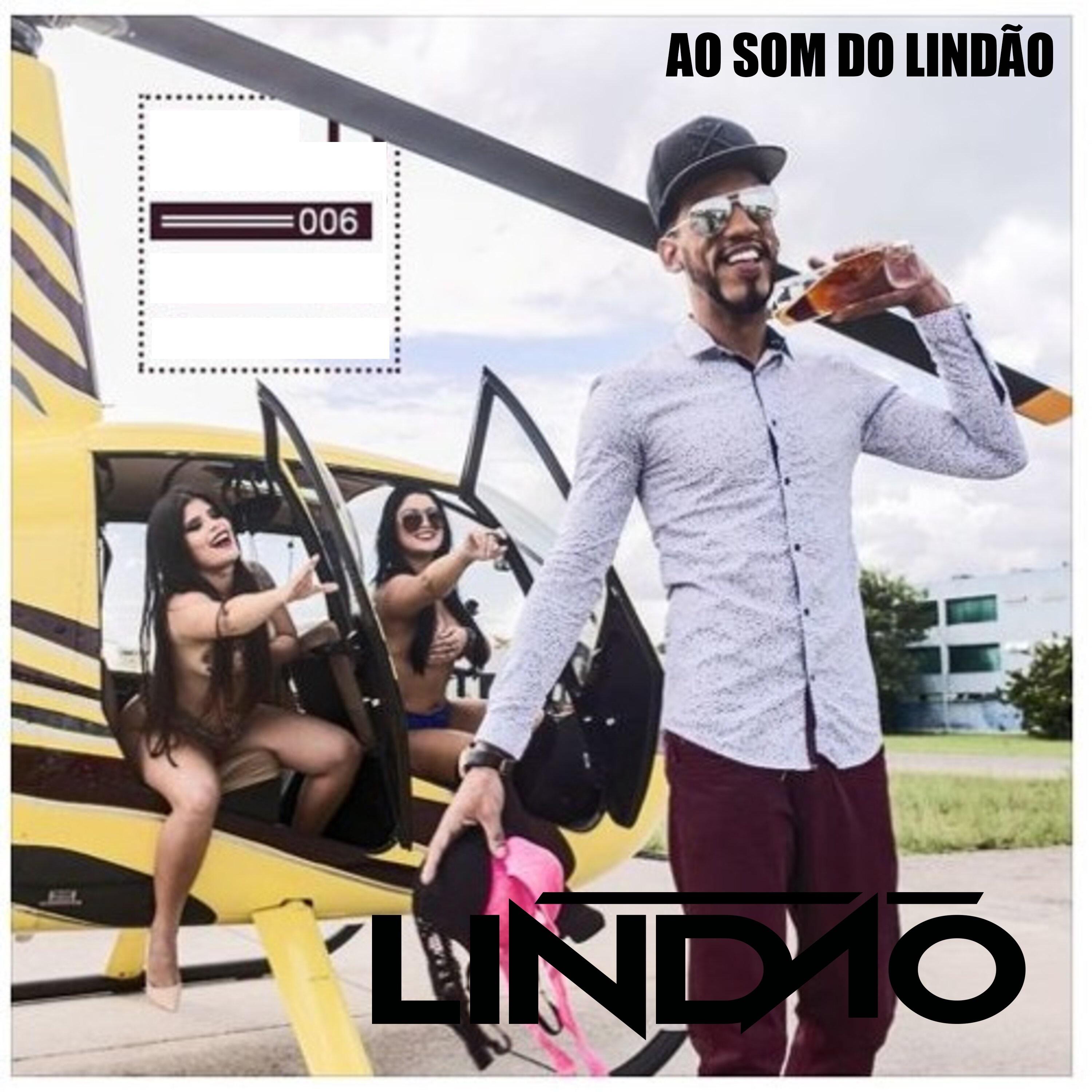Постер альбома Ao Som do Lindão  006