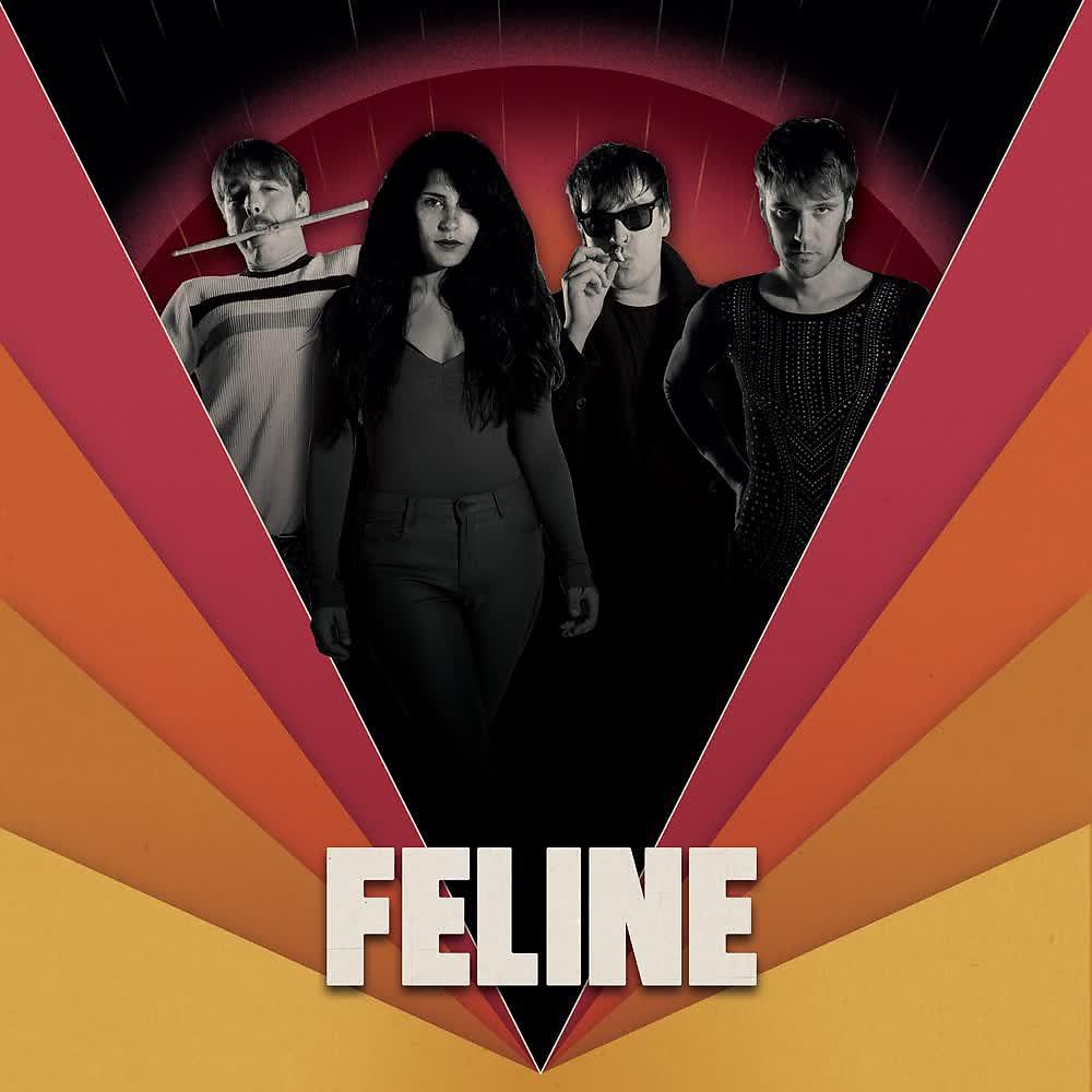 Постер альбома Feline
