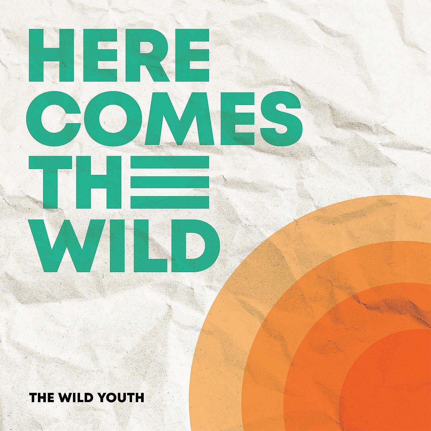 Постер альбома Here Comes the Wild
