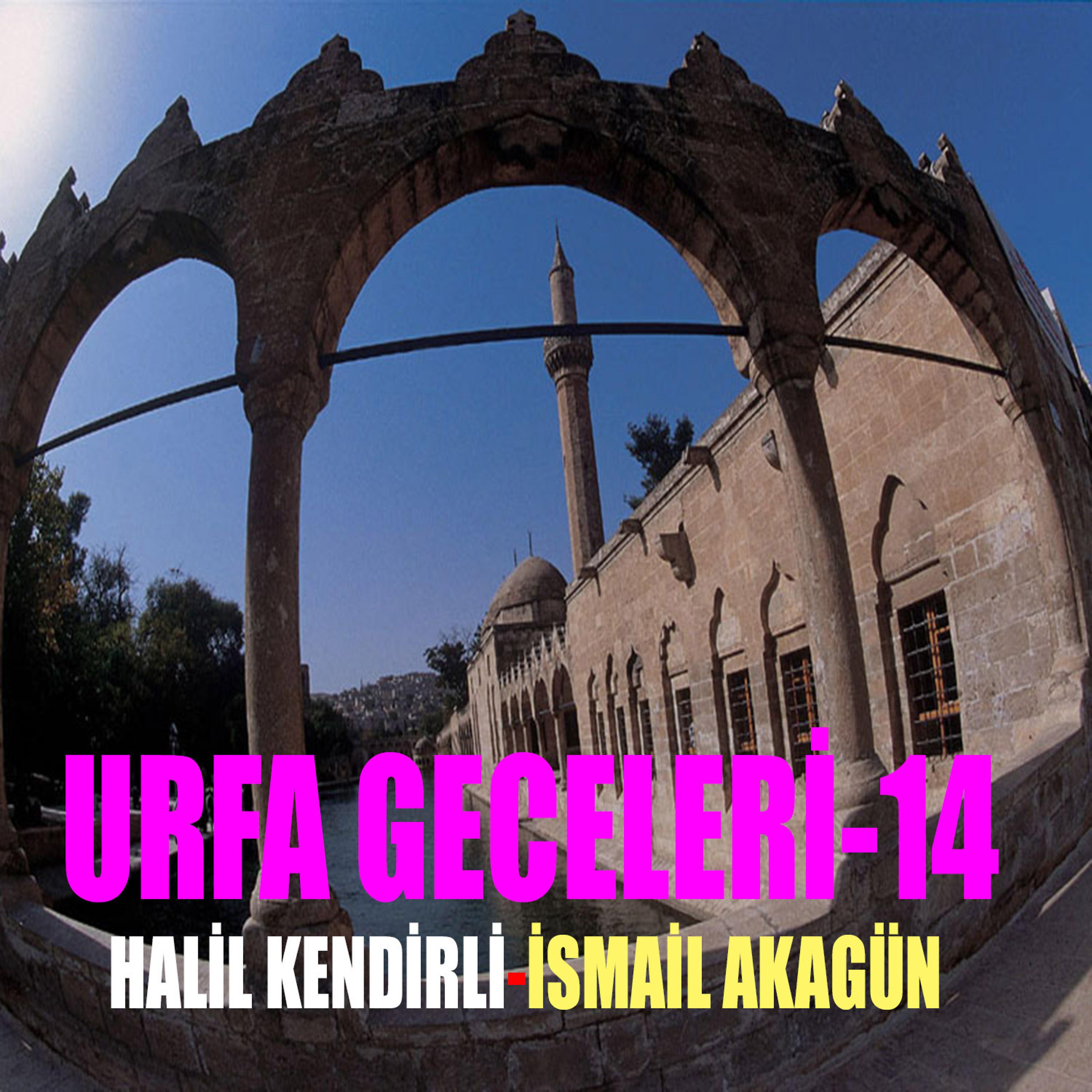 Постер альбома Urfa Geceleri-14