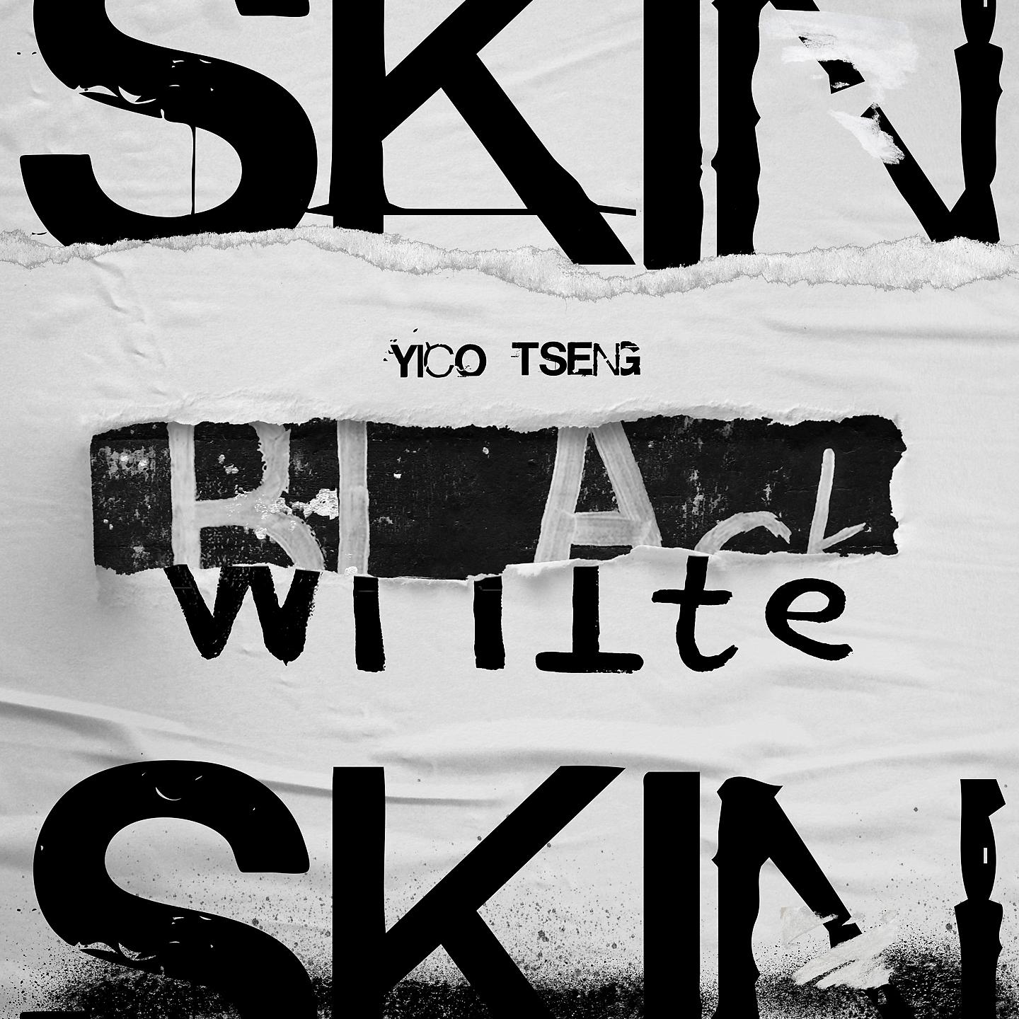 Постер альбома Skin