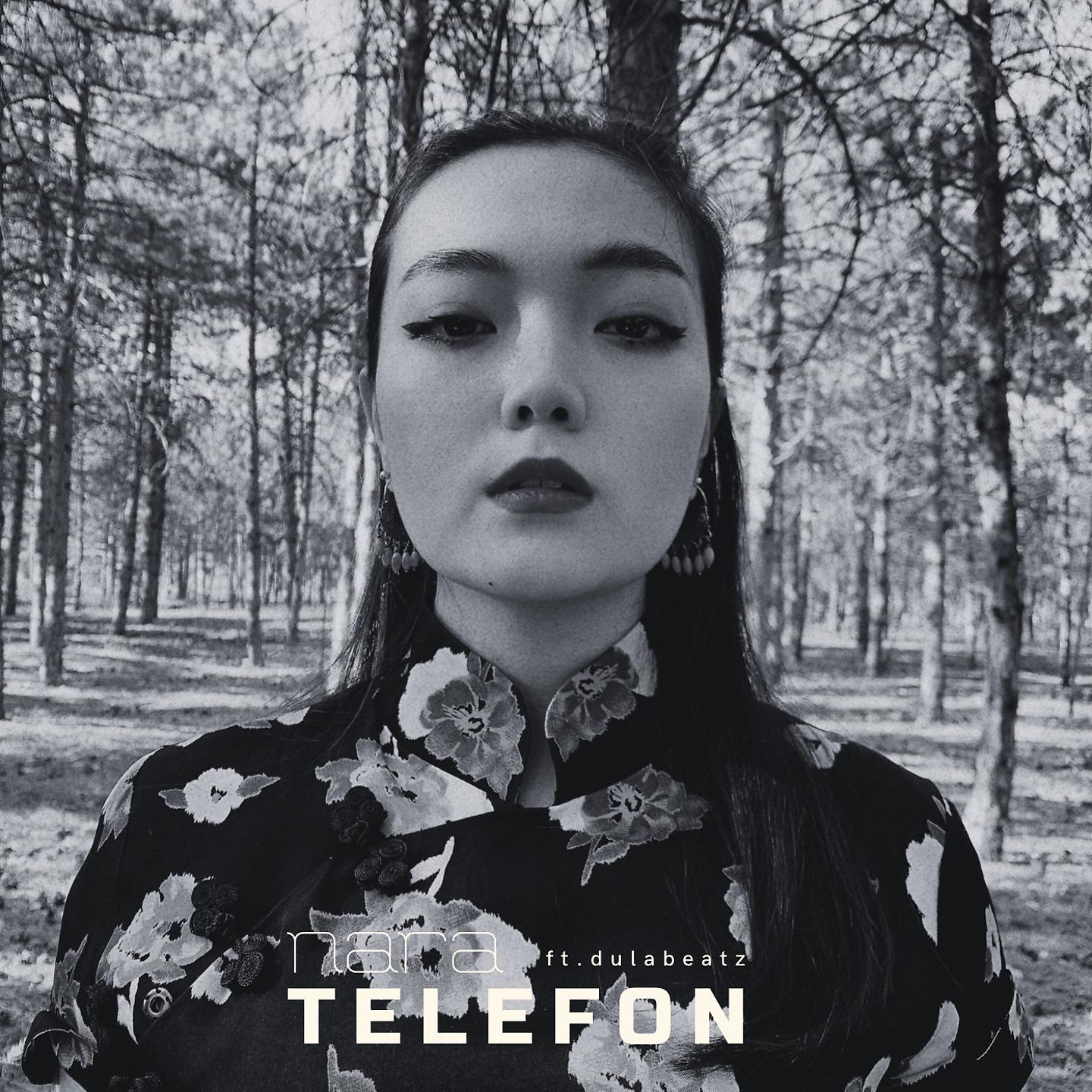Постер альбома Telefon