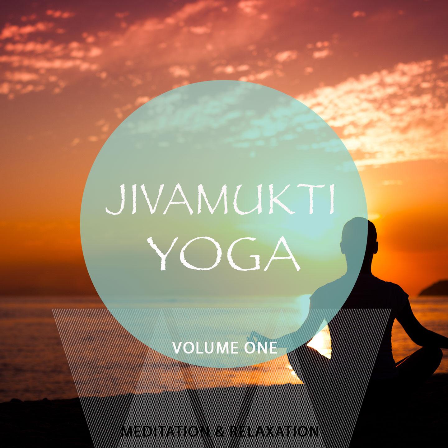 Постер альбома Jivamukti Yoga, Vol. 1