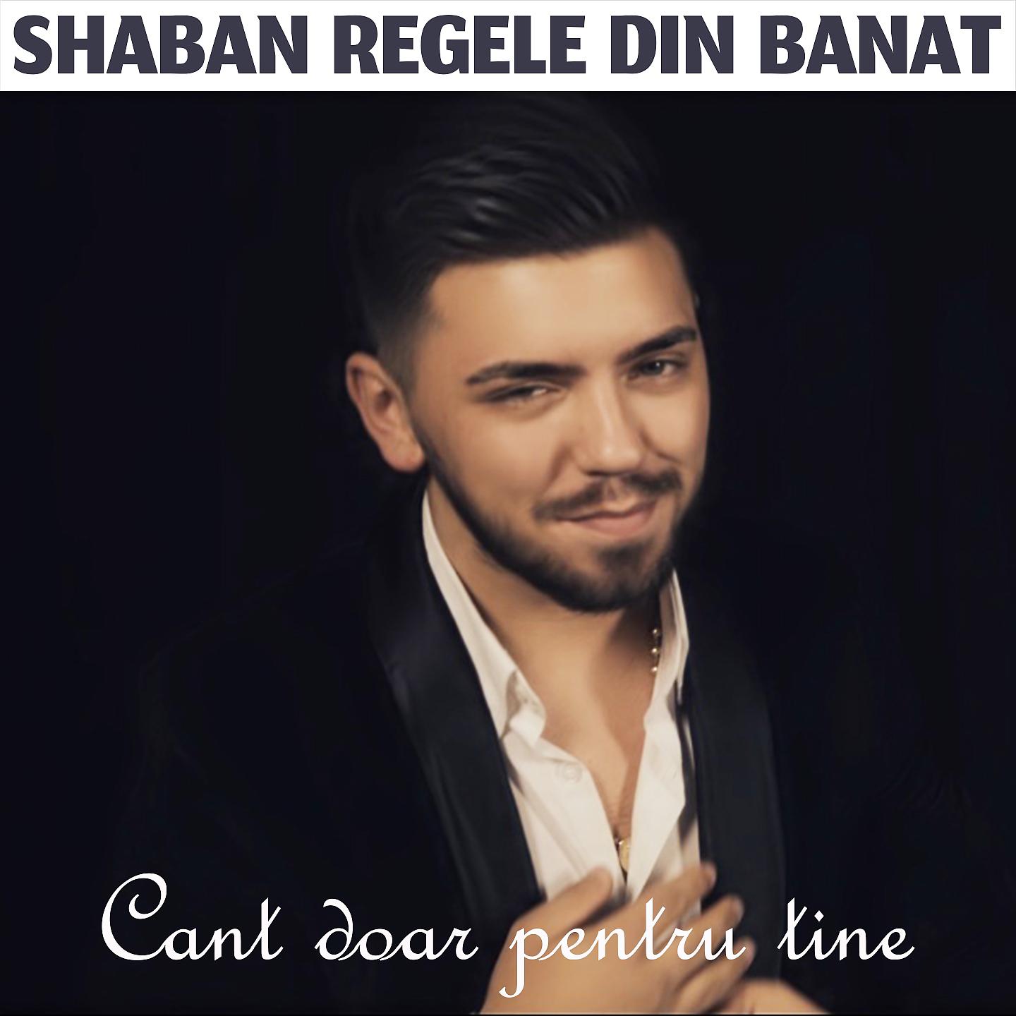 Постер альбома Cant Doar Pentru Tine