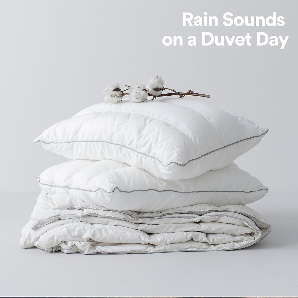 Постер альбома Rain Sounds on a Duvet Day