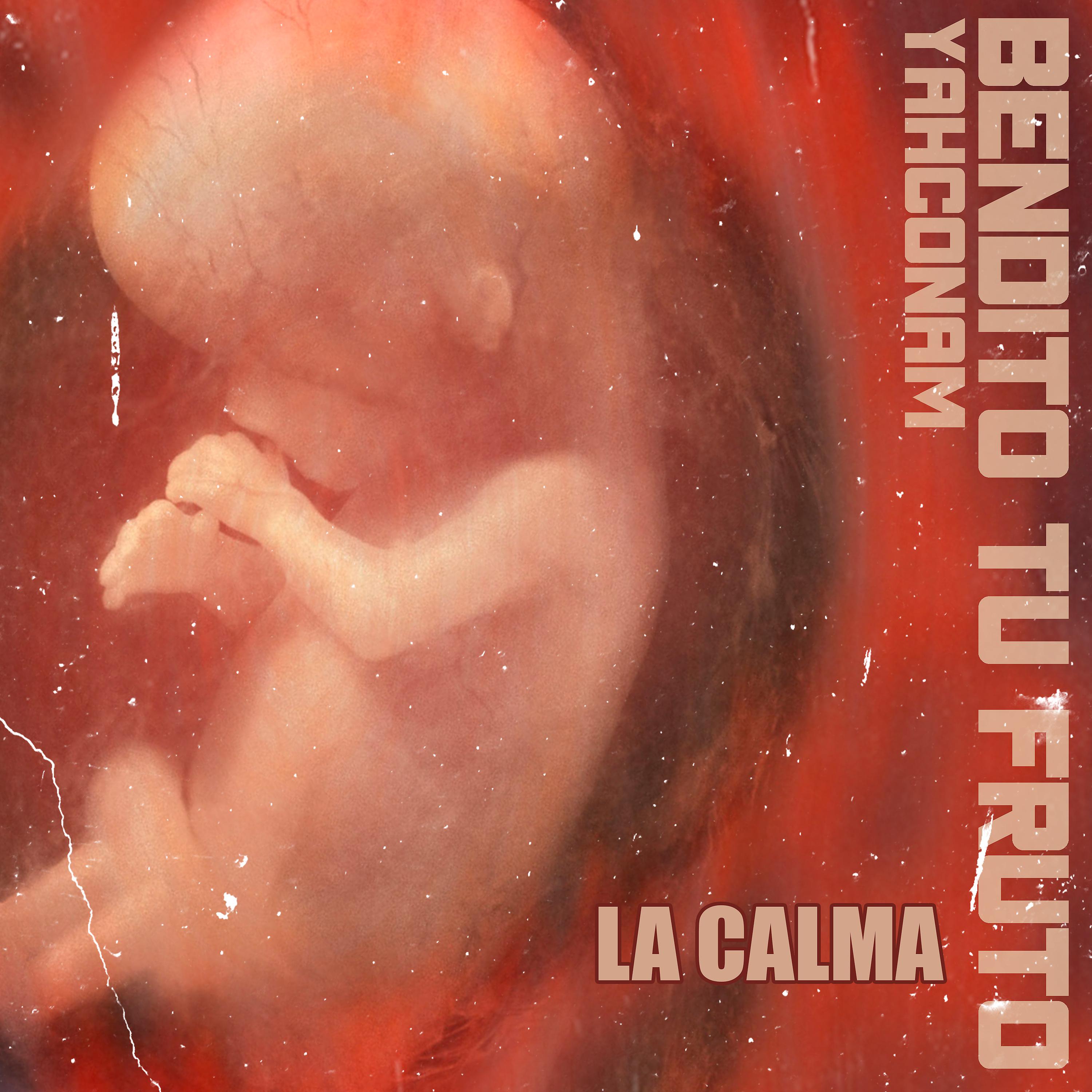 Постер альбома La Calma