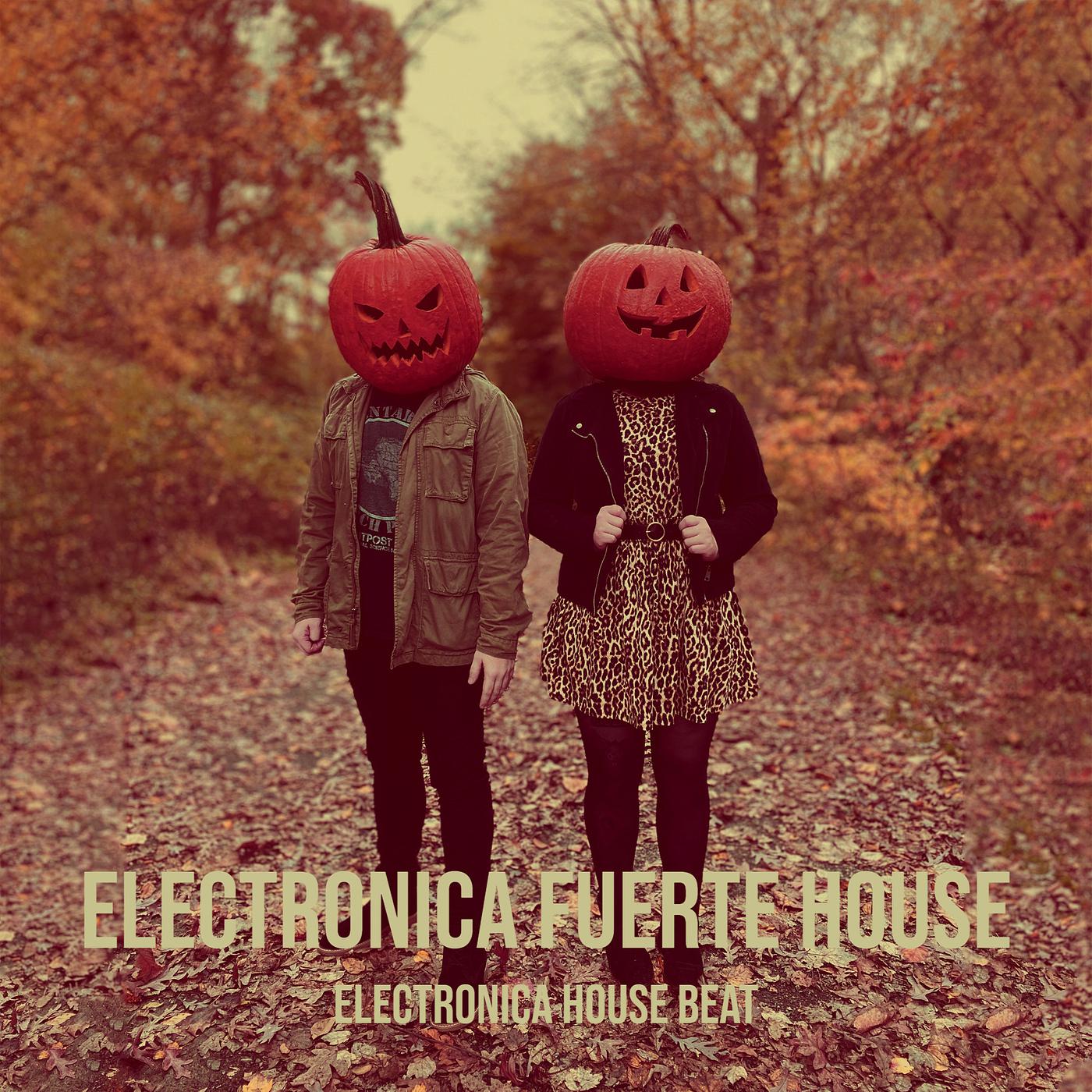 Постер альбома Electronica Fuerte House