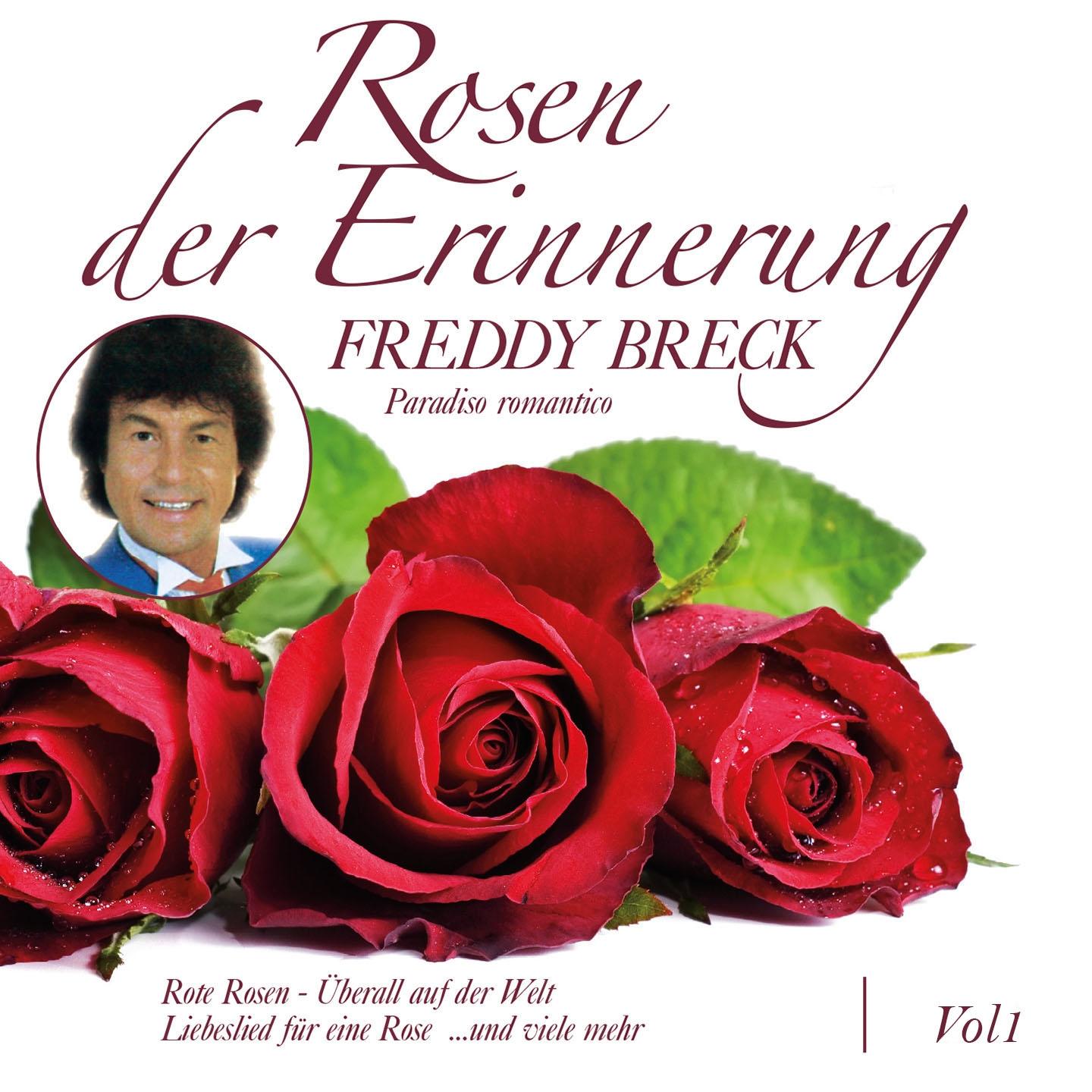 Постер альбома Rosen der Erinnerung, Vol. 1