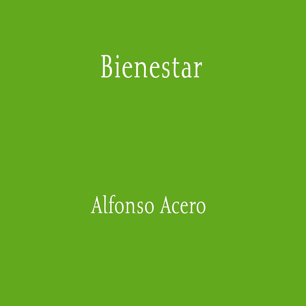 Постер альбома Bienestar