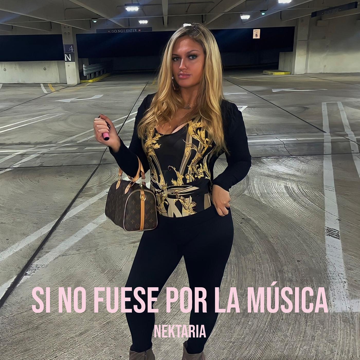 Постер альбома Si No Fuese Por La Música