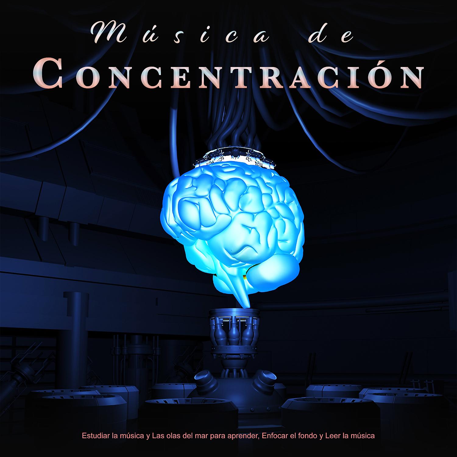 Постер альбома Música de Concentración: Estudiar la música y Las olas del mar para aprender, Enfocar el fondo y Leer la música