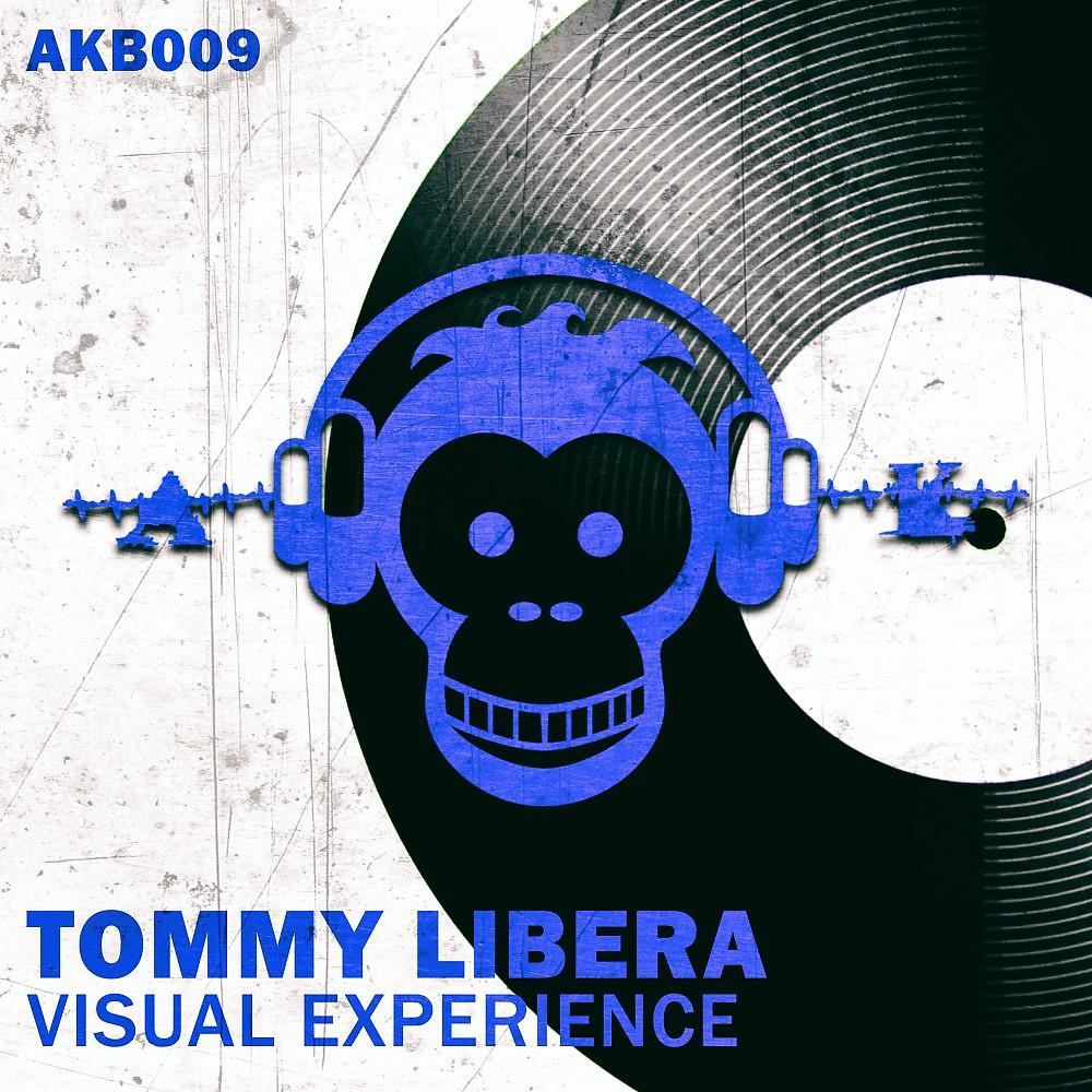 Постер альбома Visual Experience
