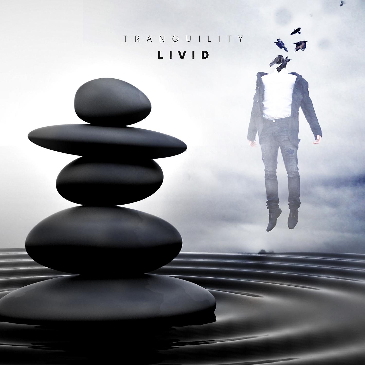 Постер альбома Tranquility