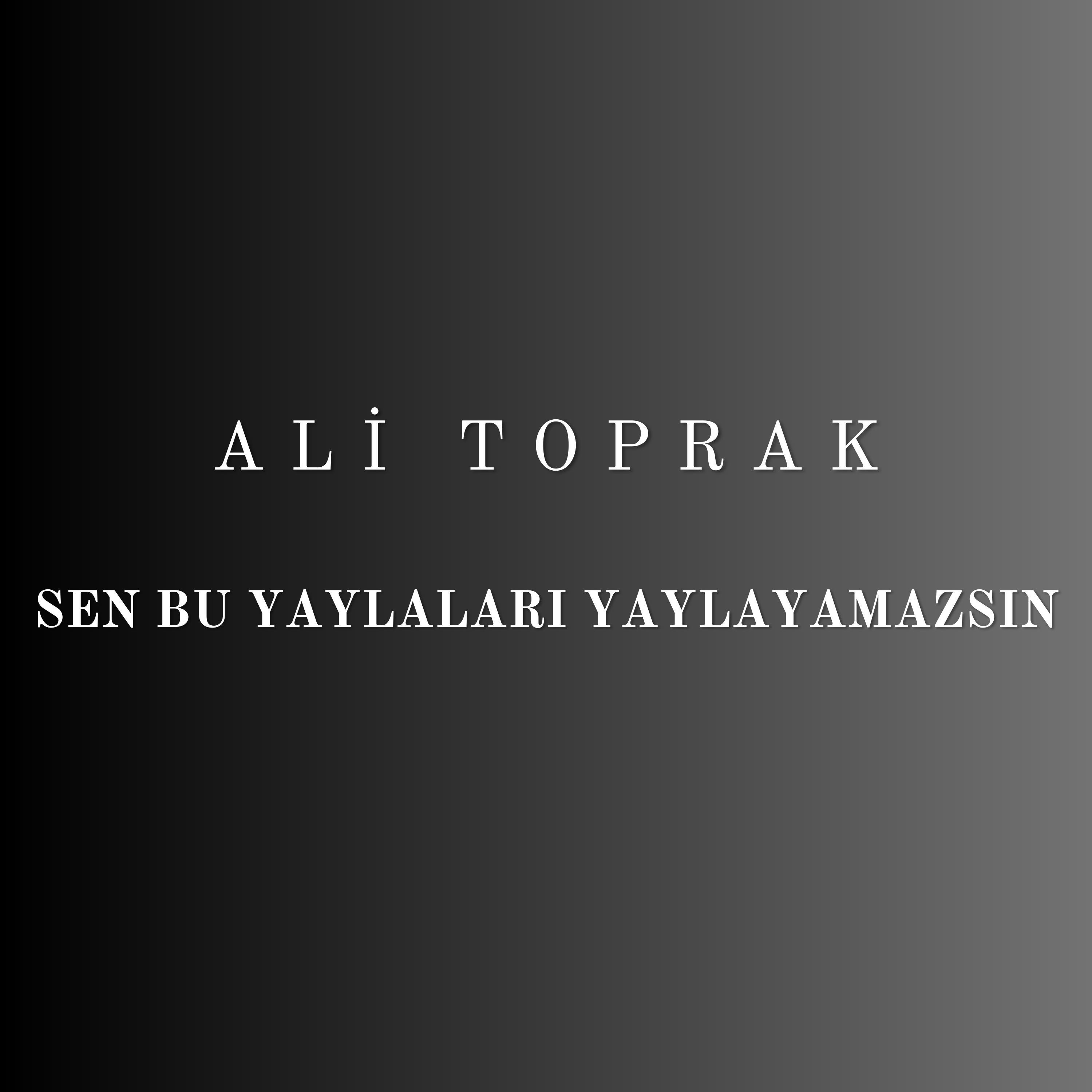 Постер альбома Sen Bu Yaylaları Yaylayamazsın