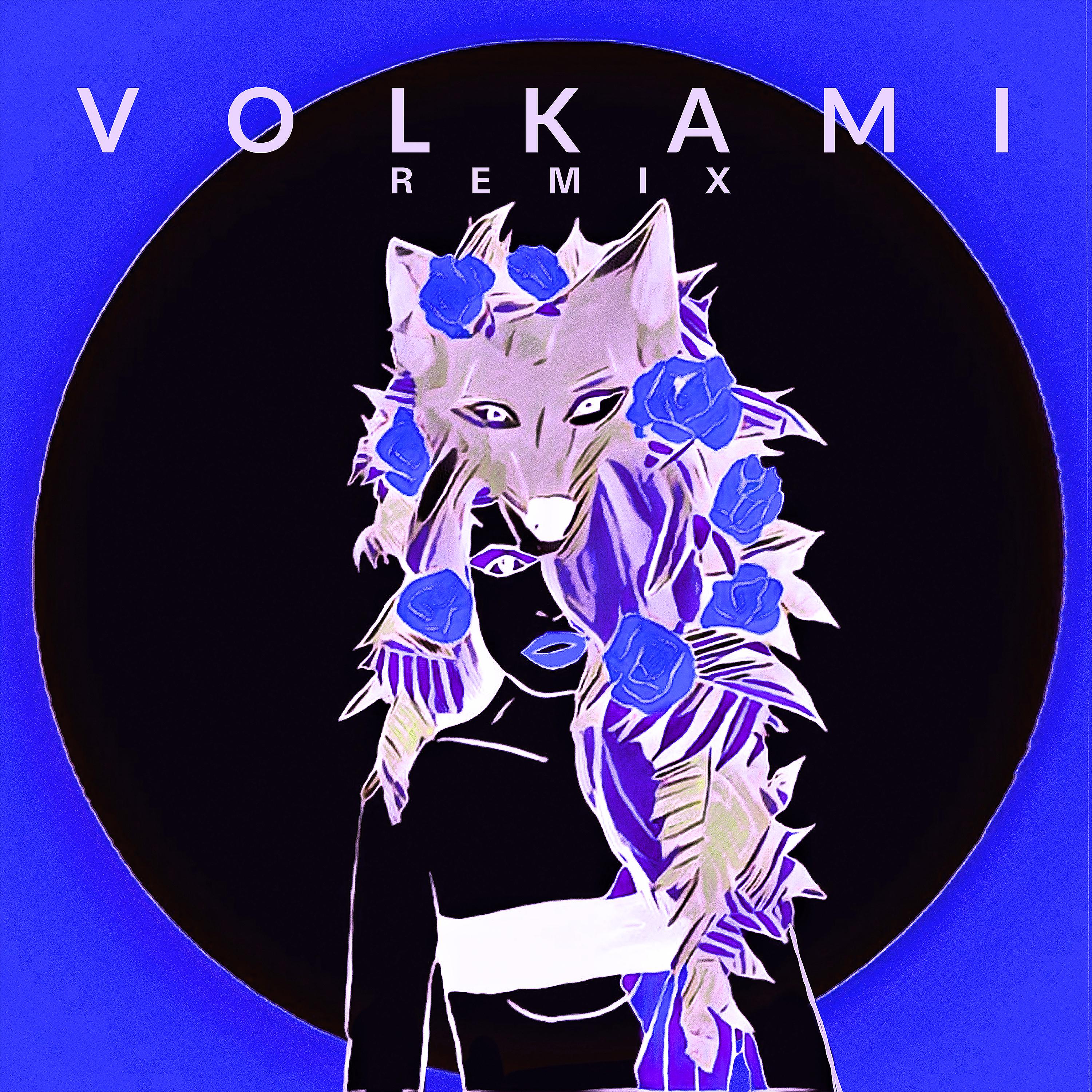 Постер альбома Volkami