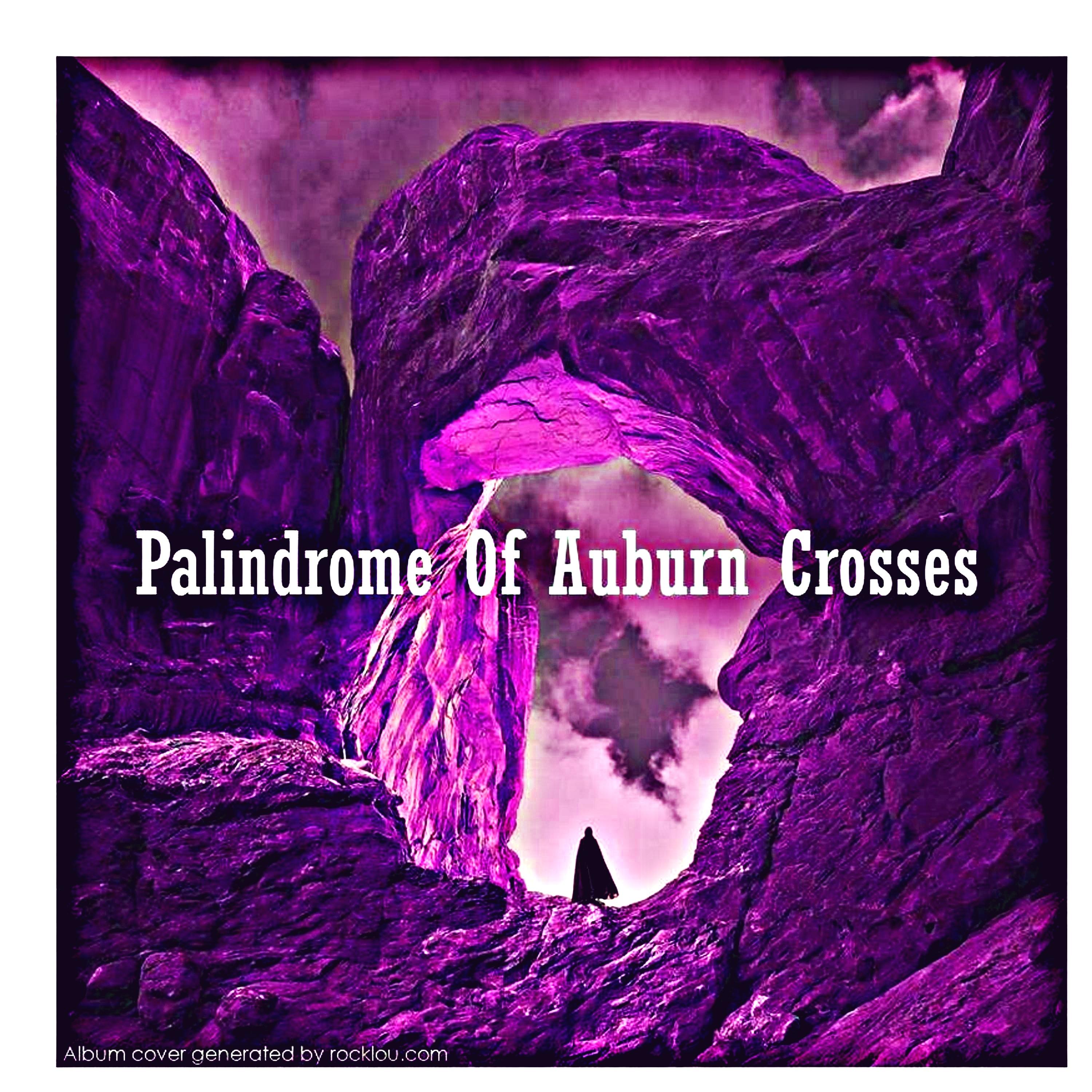 Постер альбома Palindrome Of Auburn Crosses
