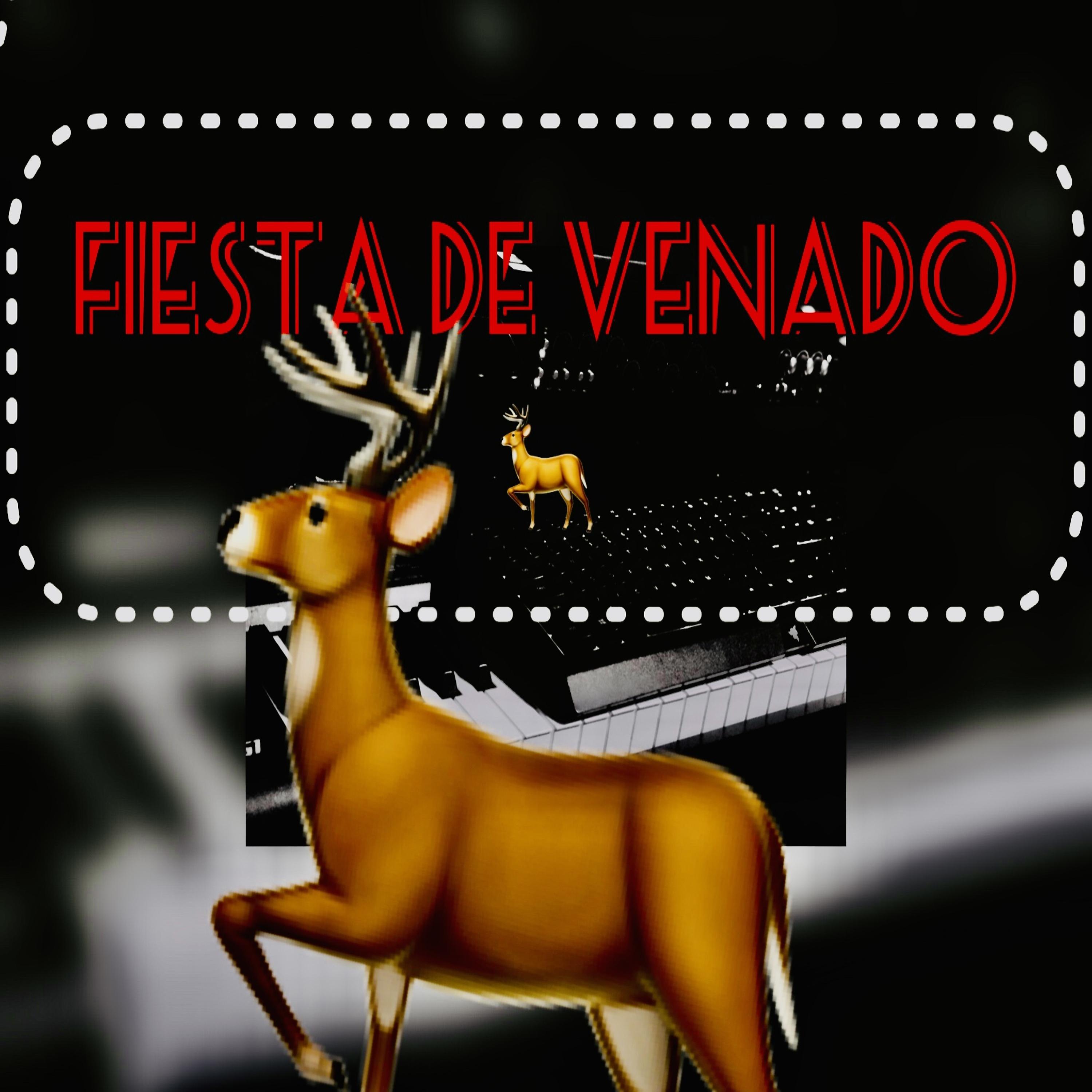 Постер альбома Fiesta de Venado