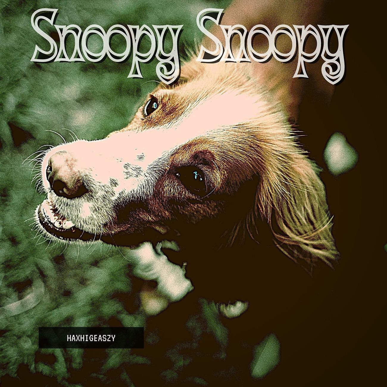 Постер альбома Snoopy Snoopy