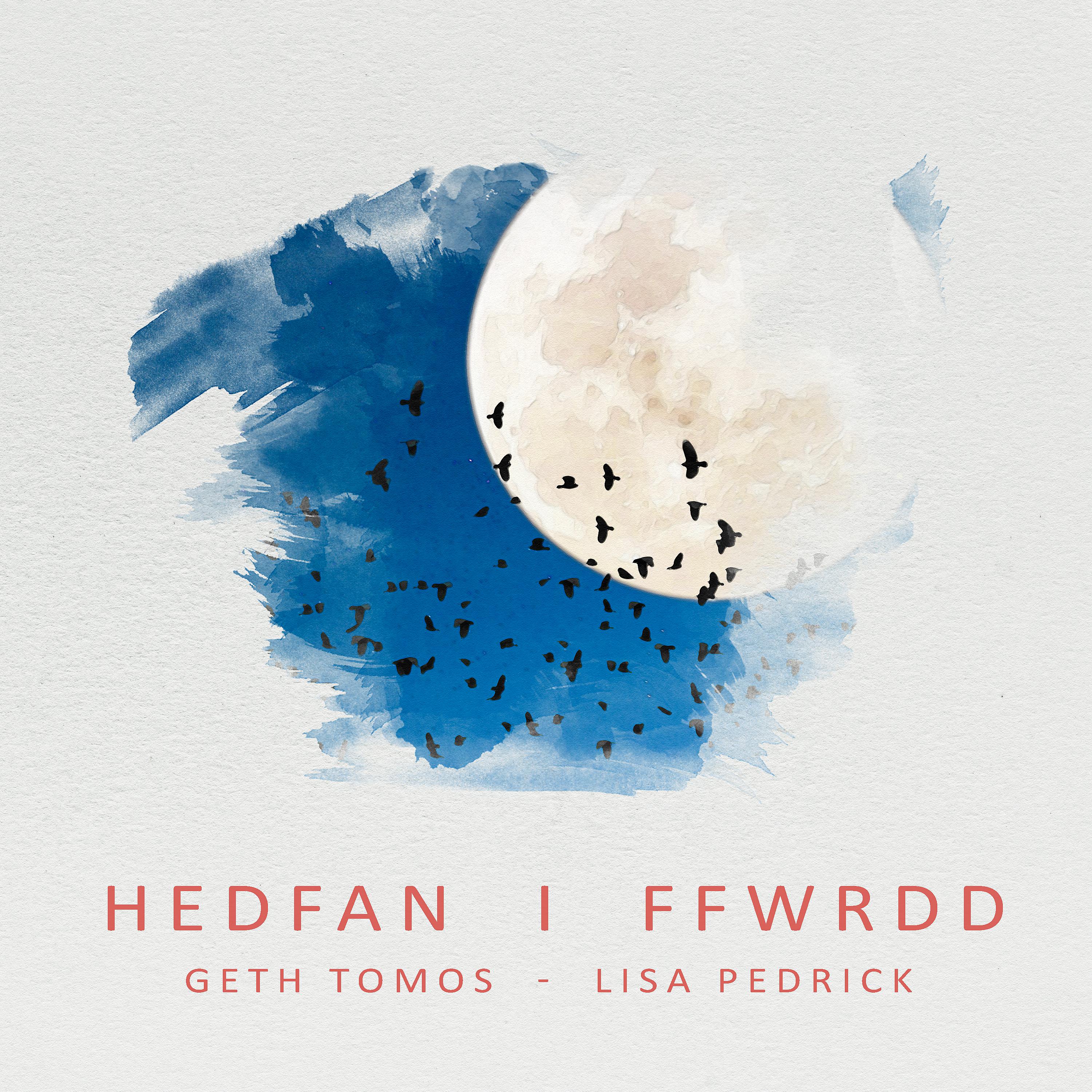 Постер альбома Hedfan i Ffwrdd