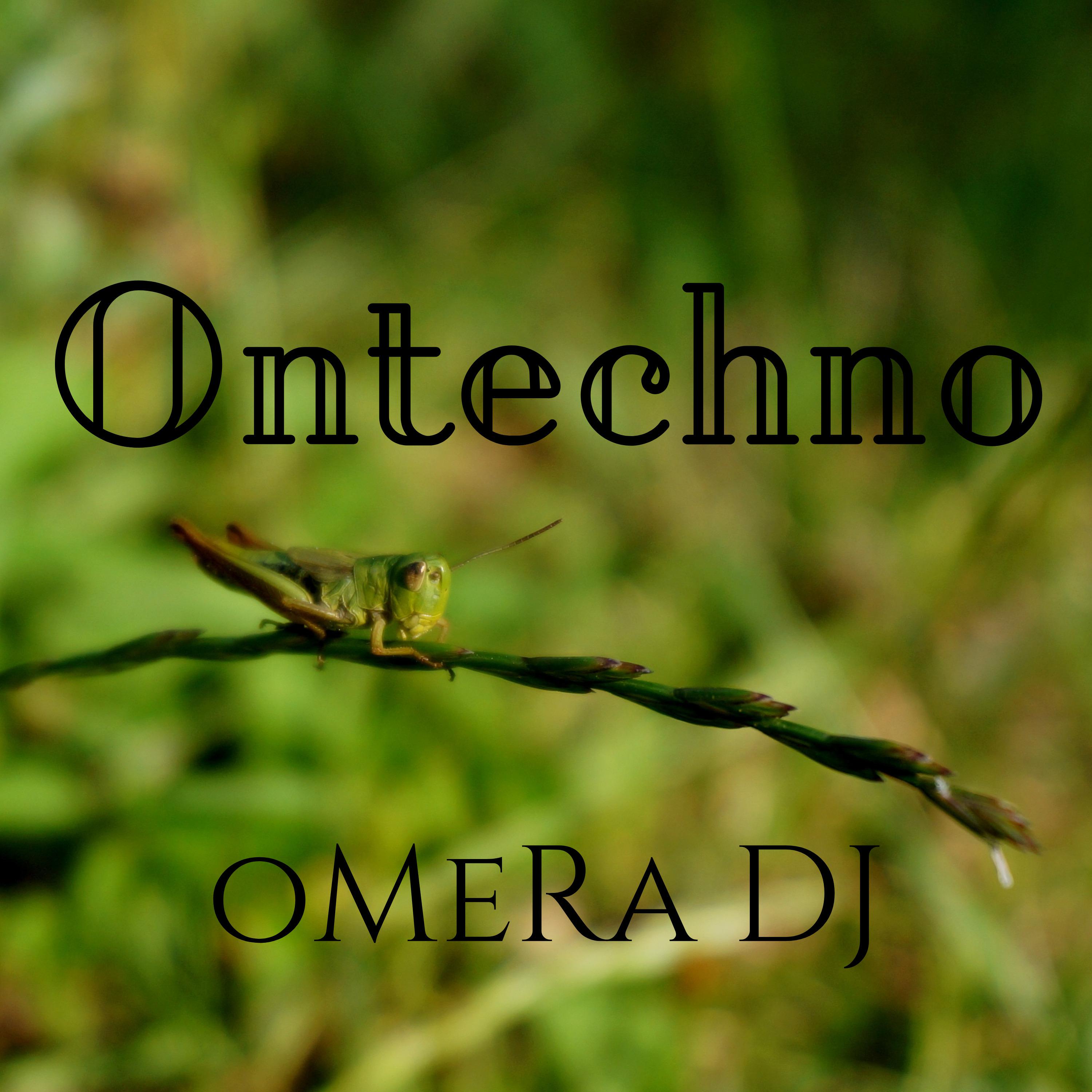 Постер альбома Ontechno