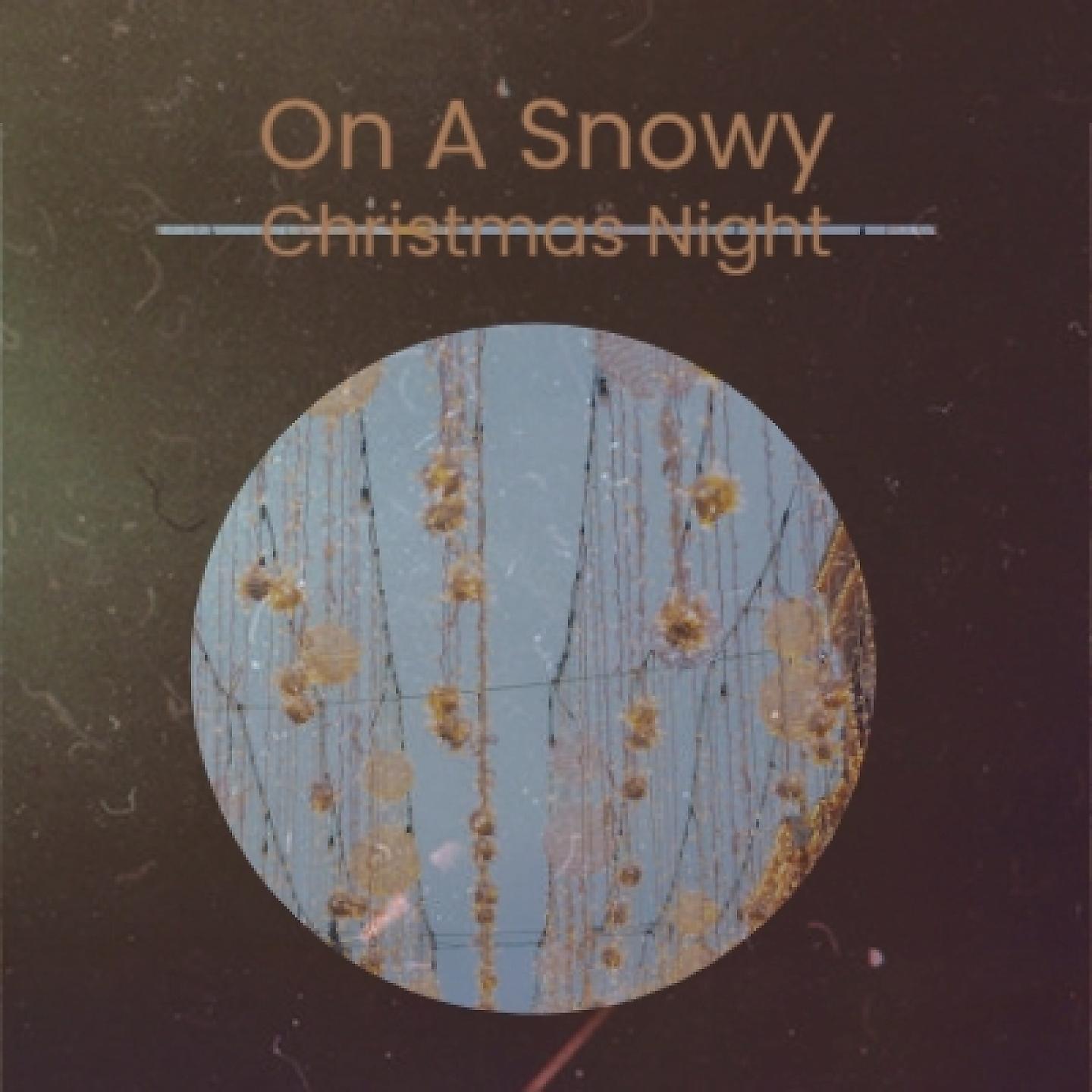 Постер альбома On a Snowy Christmas Night