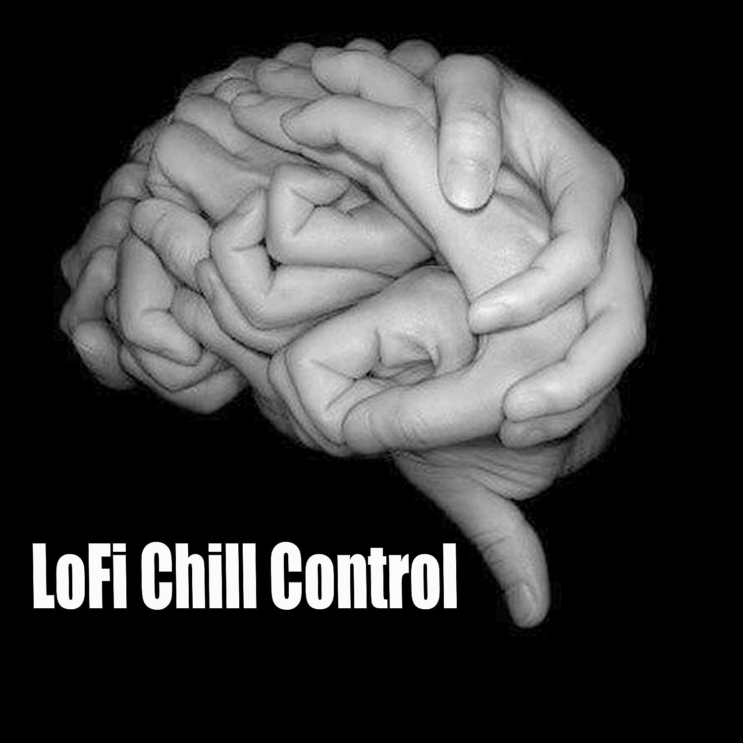 Постер альбома LoFi Chill Control