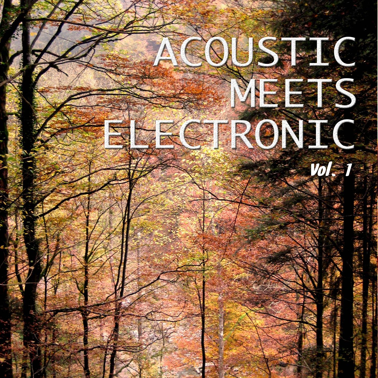 Постер альбома Acoustic Meets Electronic, Vol. 1