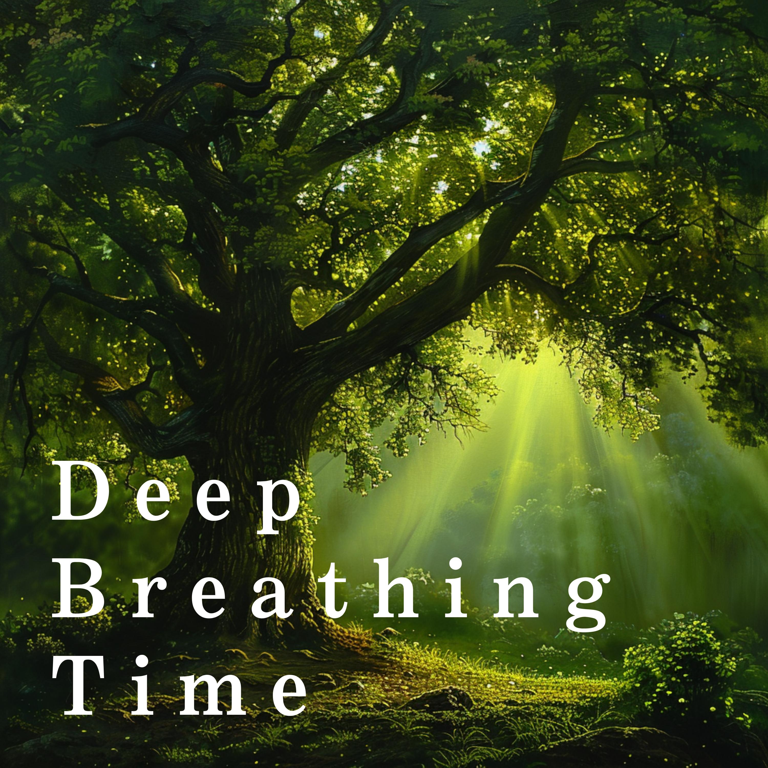 Постер альбома Deep Breathing Time