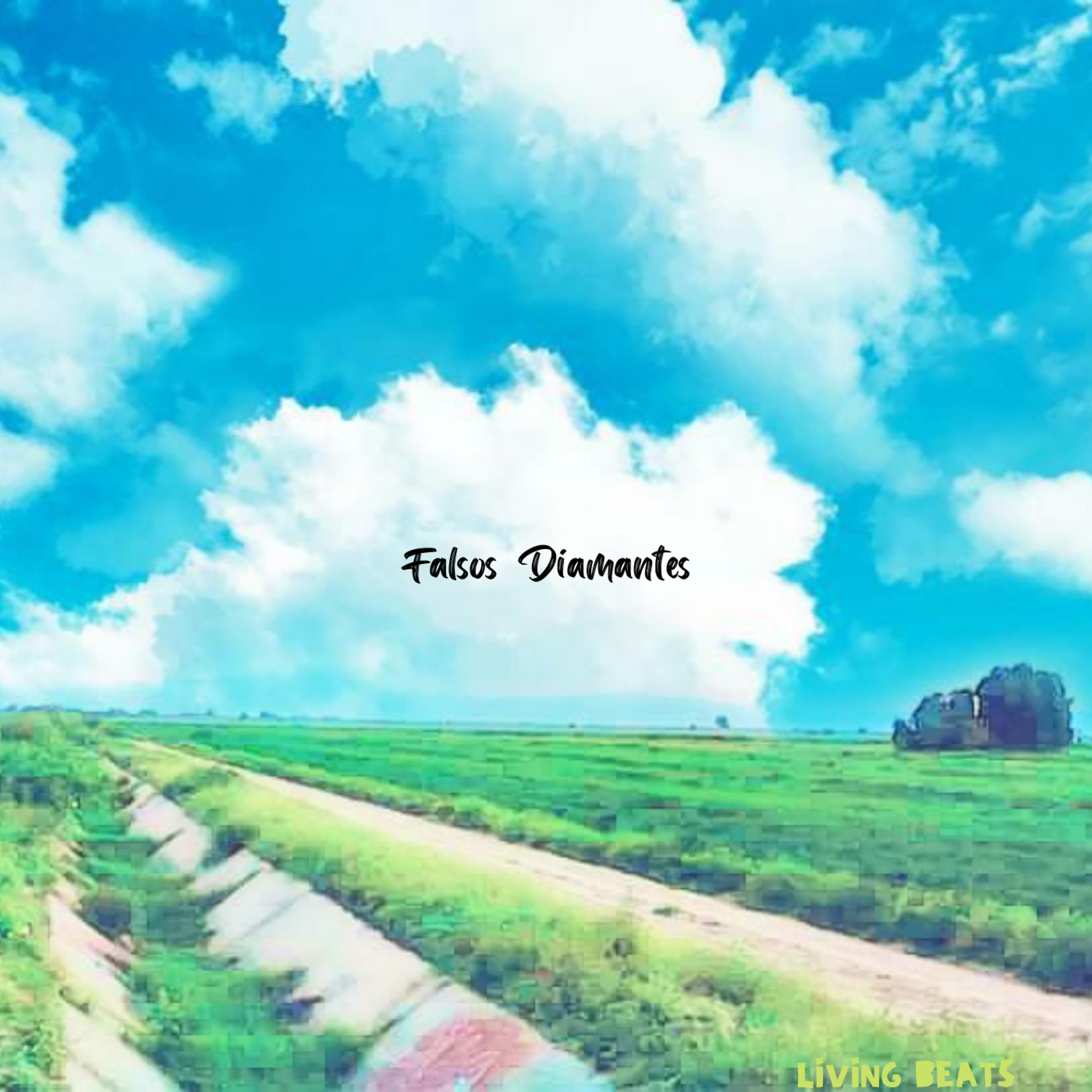 Постер альбома Falsos Diamantes