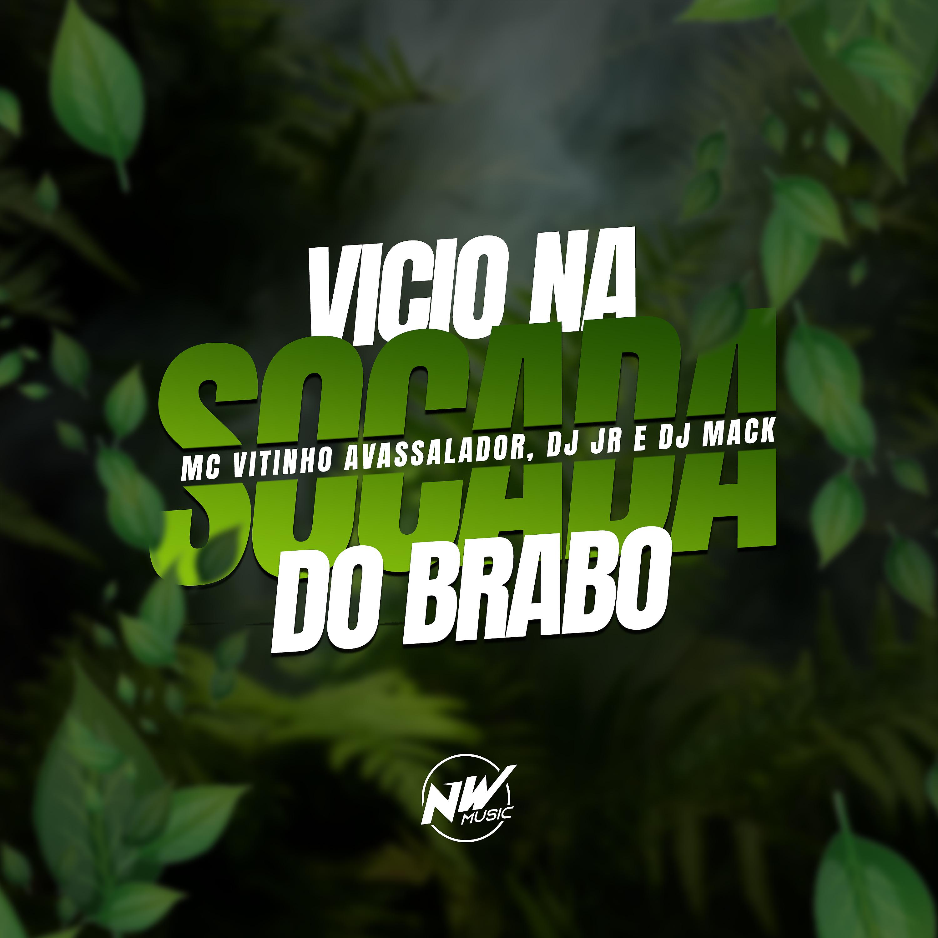 Постер альбома Vicio na Socada do Brabo