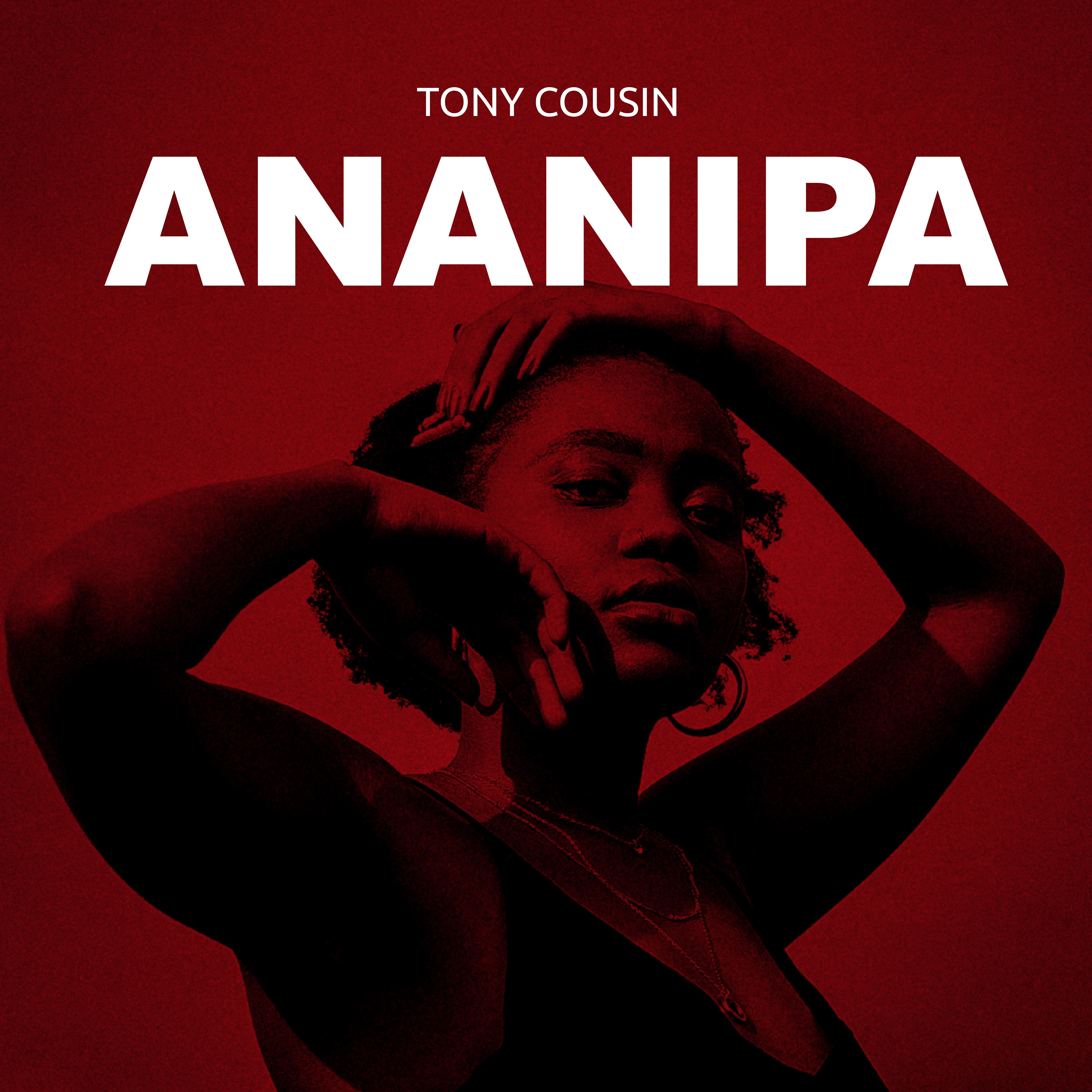 Постер альбома Ananipa