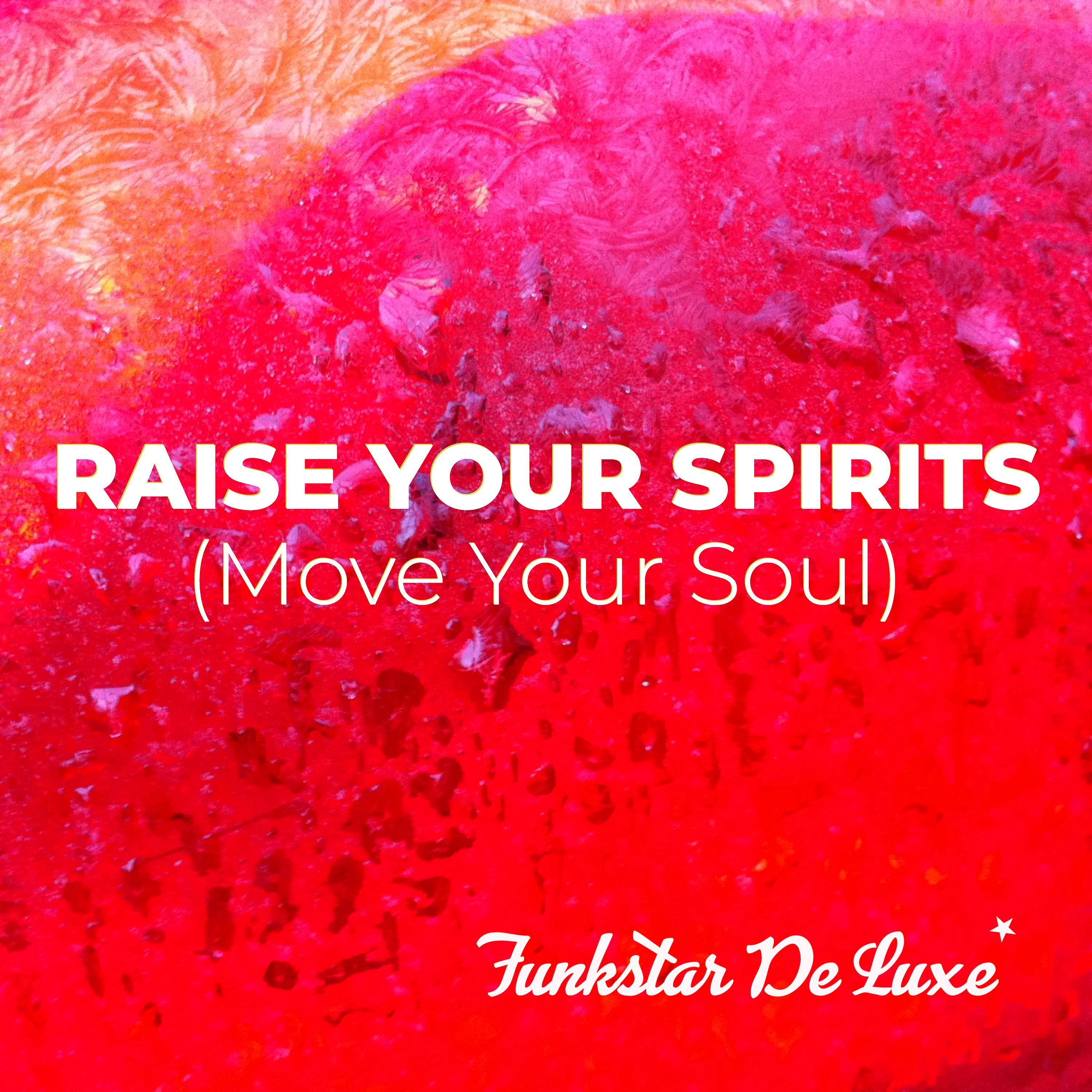 Постер альбома Raise Your Spirits (Move Your Soul)