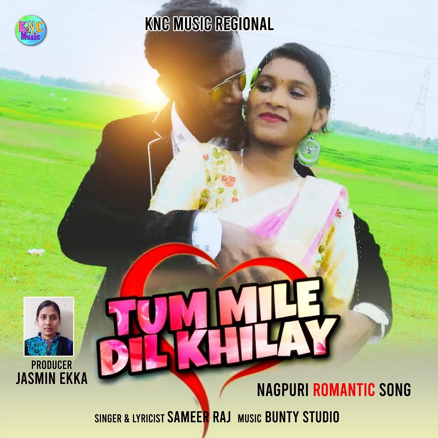 Постер альбома Tum Mile Dil Khilay