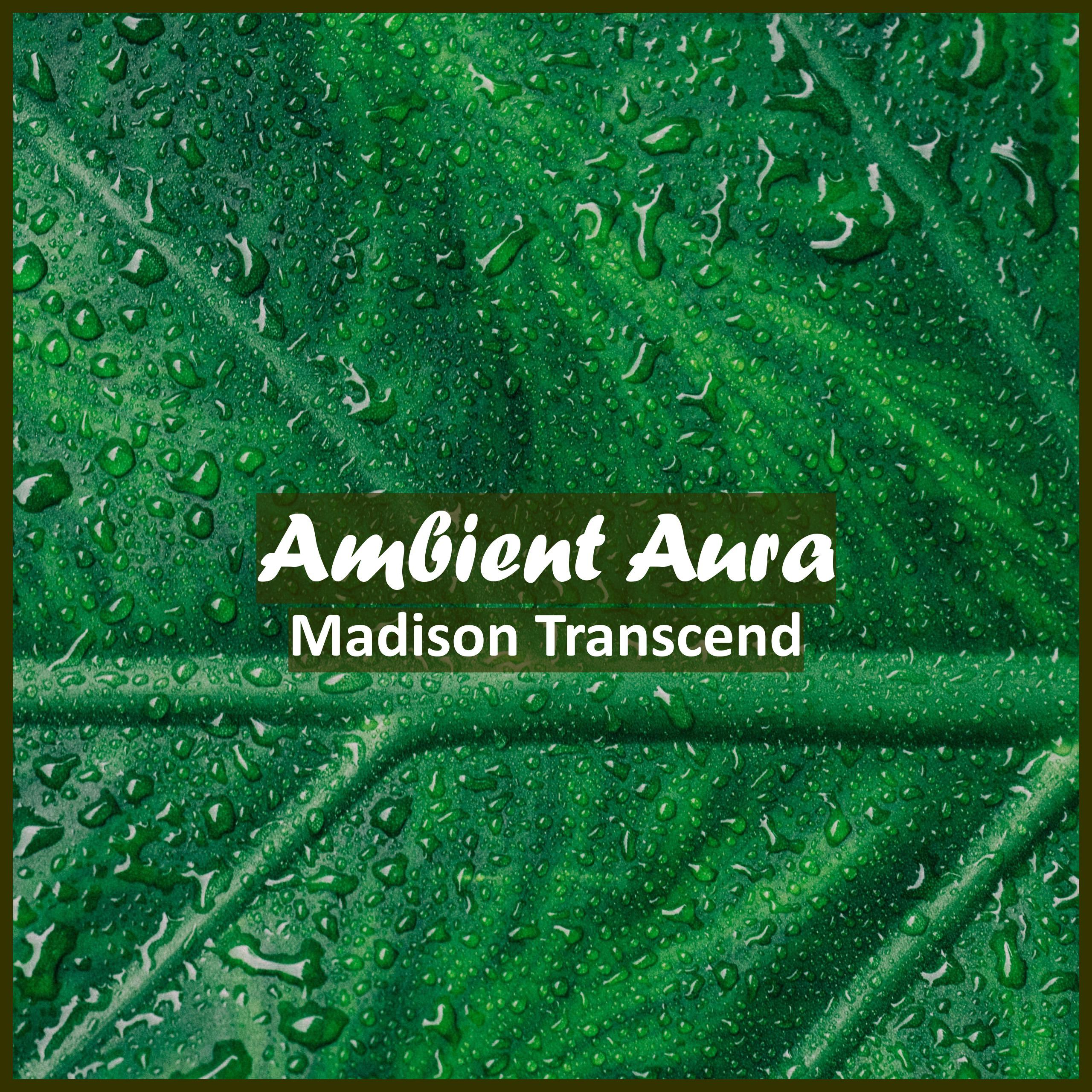 Постер альбома Ambient Aura