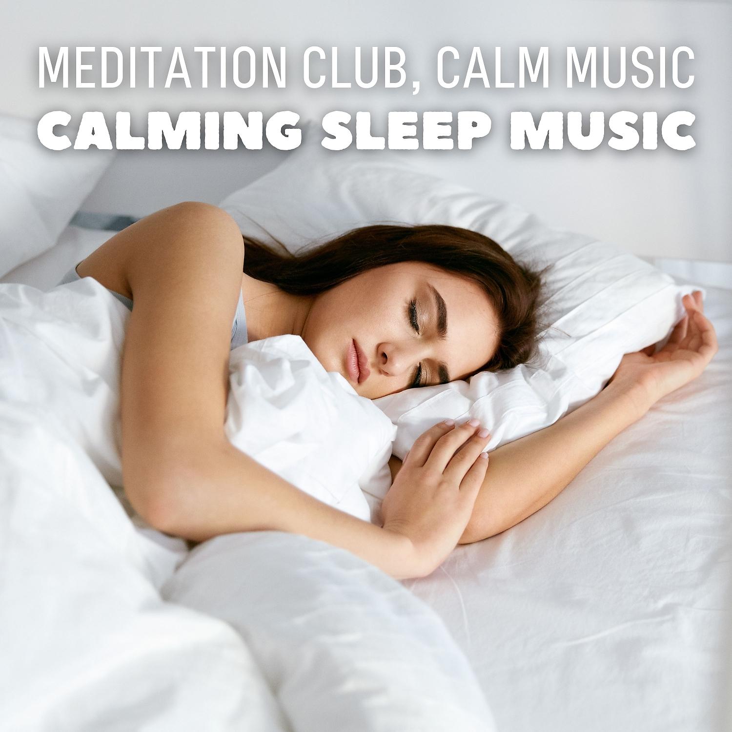 Постер альбома Calming Sleep Music