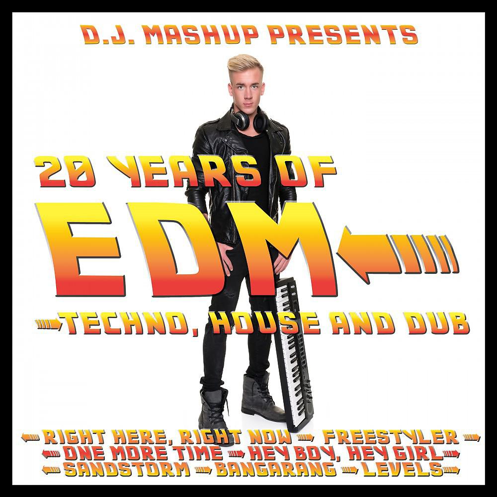 Постер альбома 20 Years of EDM: Techno, House and Dub